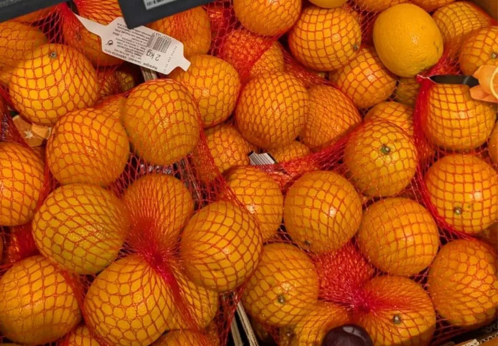 Imagen de unas naranjas-FACUA