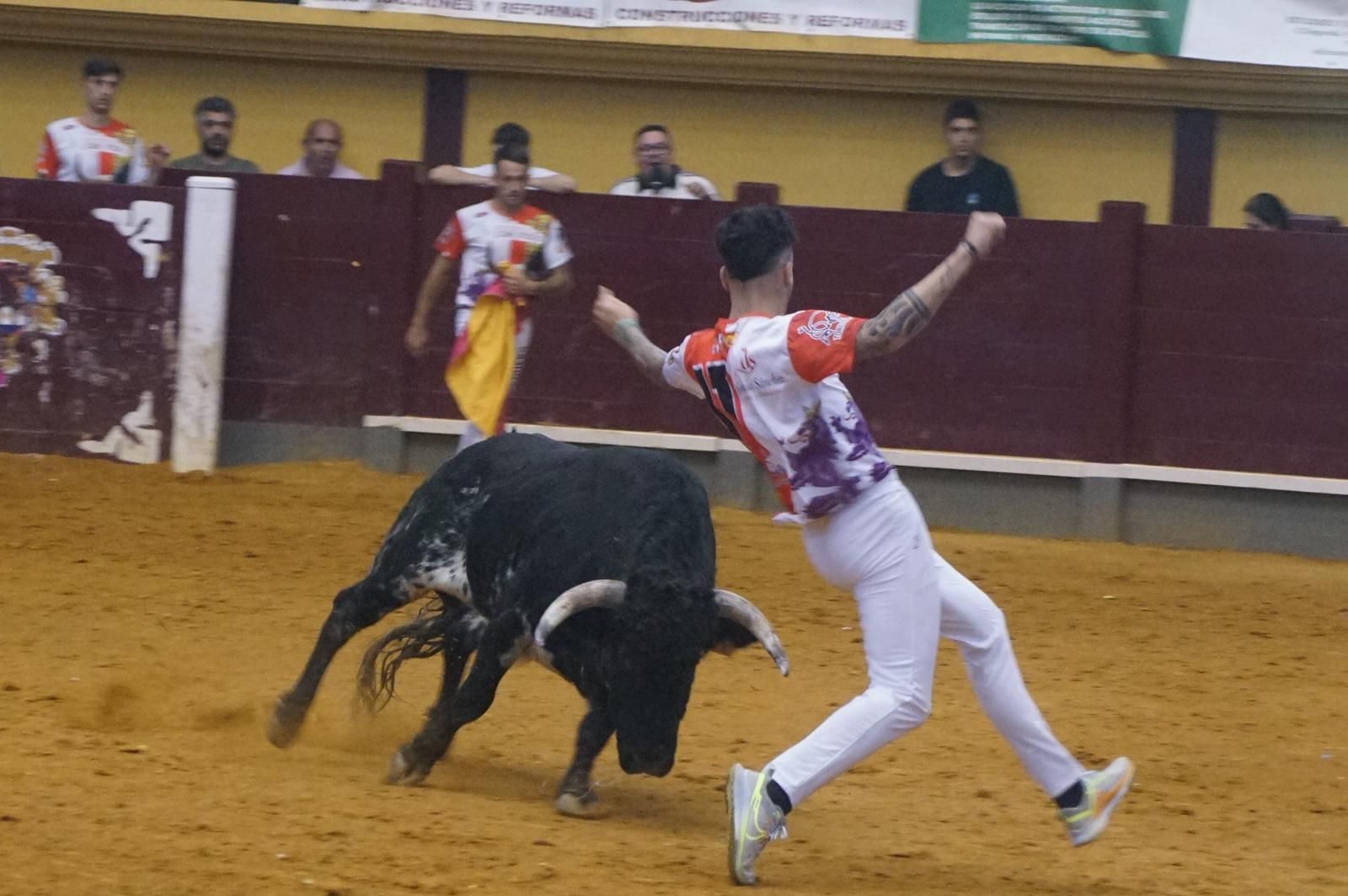 Alba de Tormes celebra un nuevo concurso de cortes