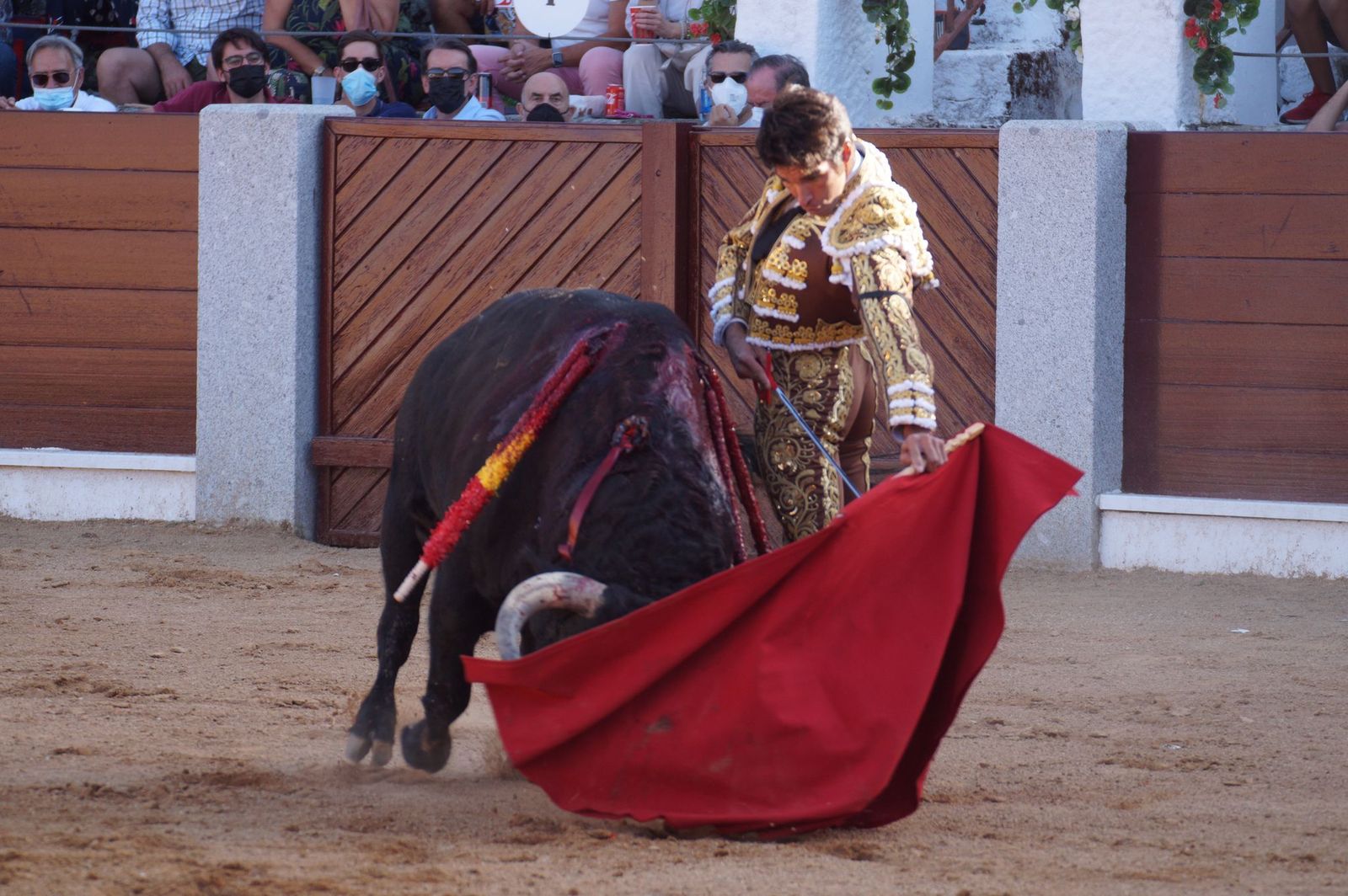 toros-en-guijuelo-15-de-agosto-59