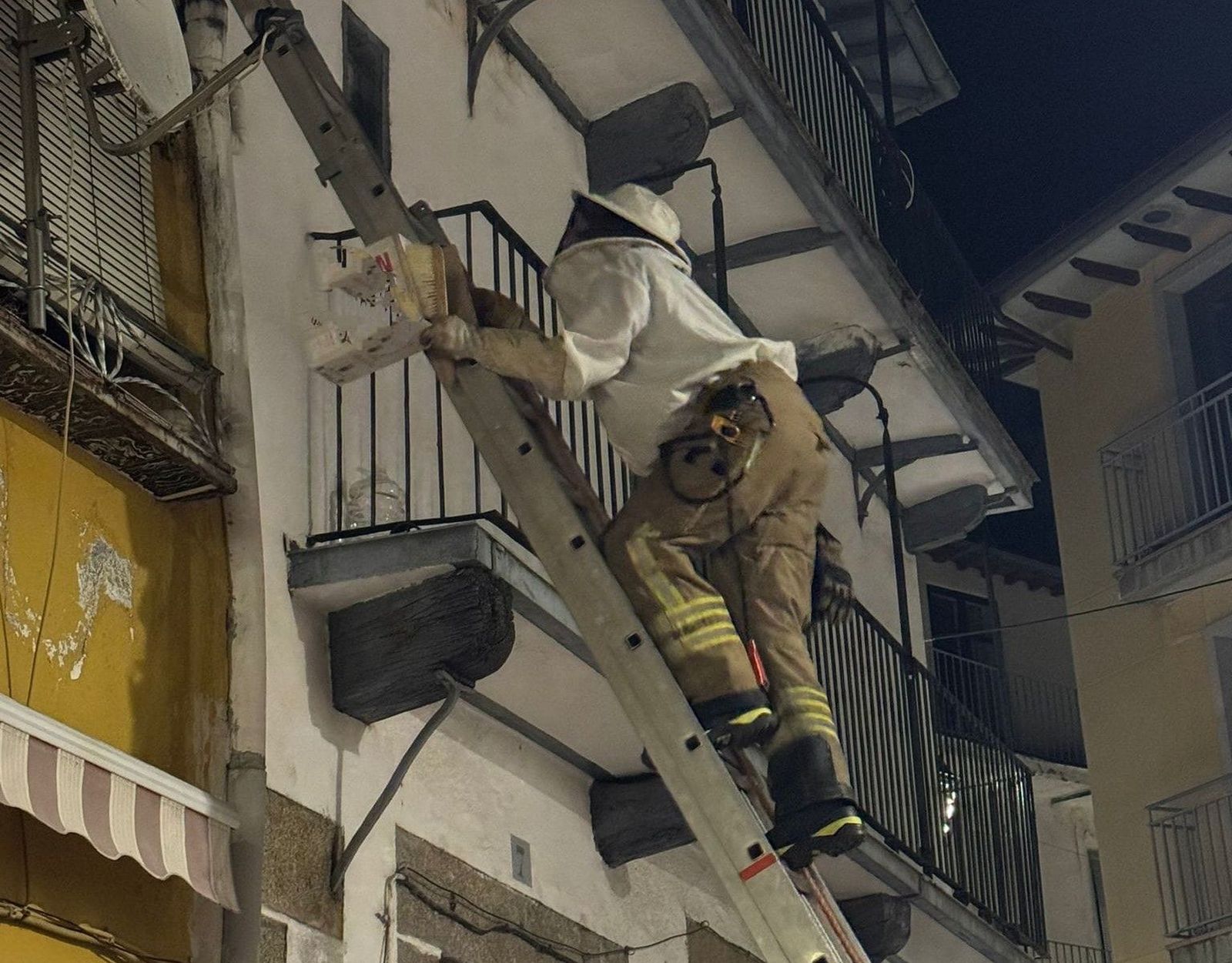 Intervención de los bomberos de Béjar para retirar un nido de avispas