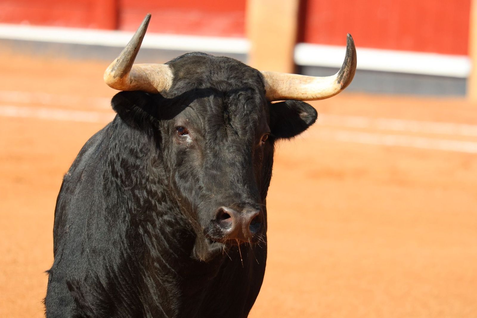 20230910170803-img-1571