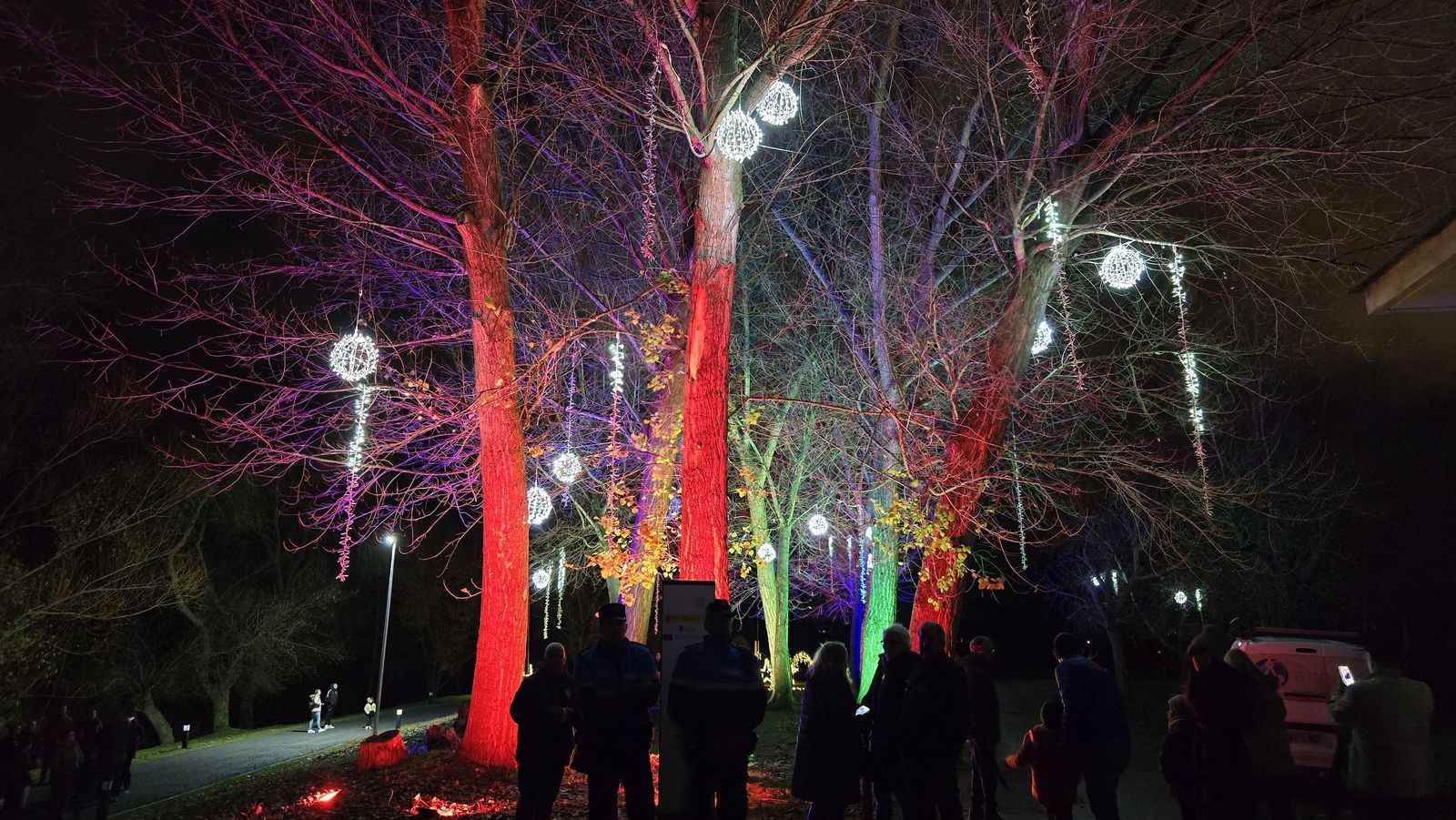 Inauguración de la Navidad en Santa Marta