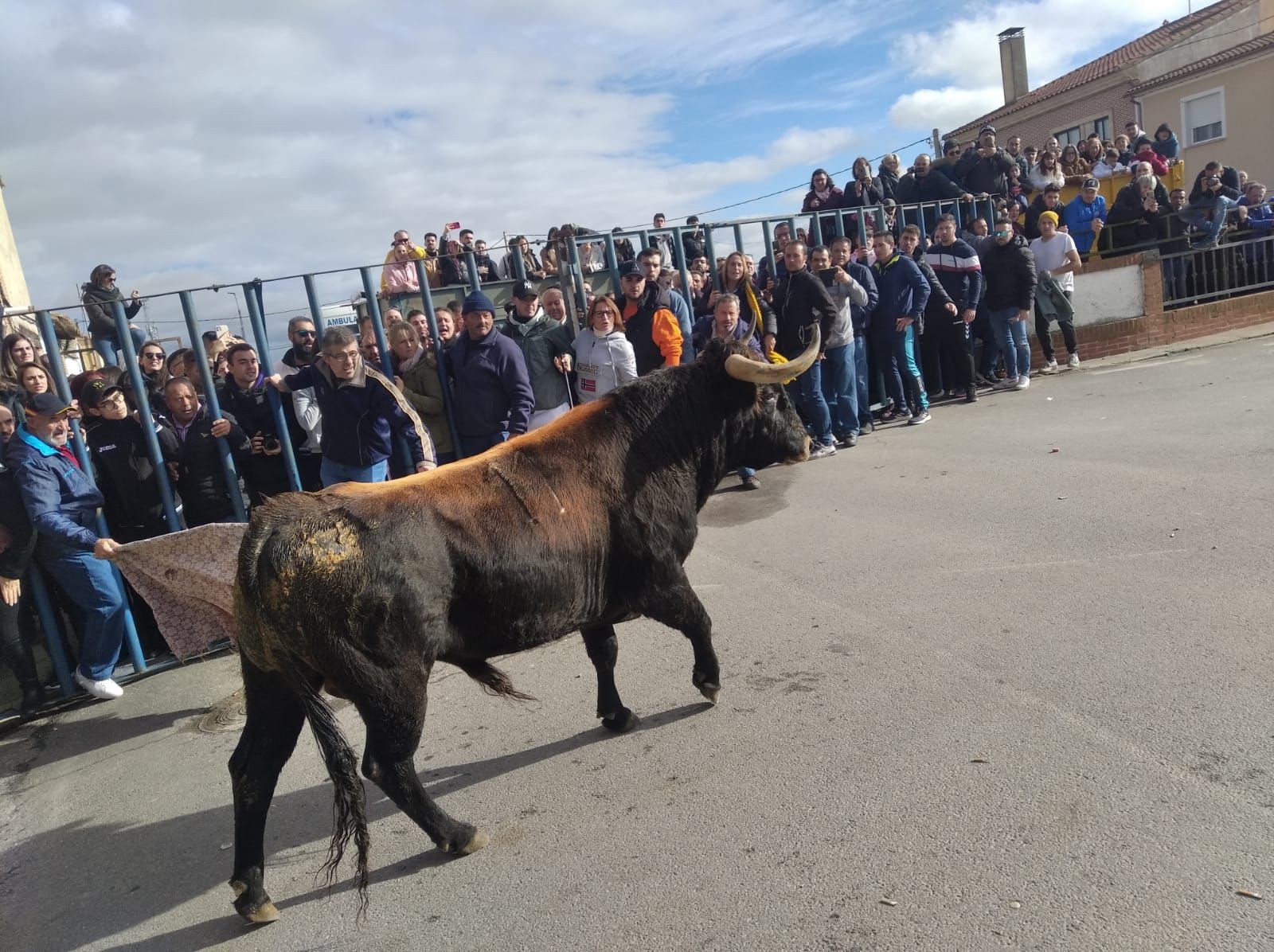 whatsapp-image-2022-12-10-at-13-52-06