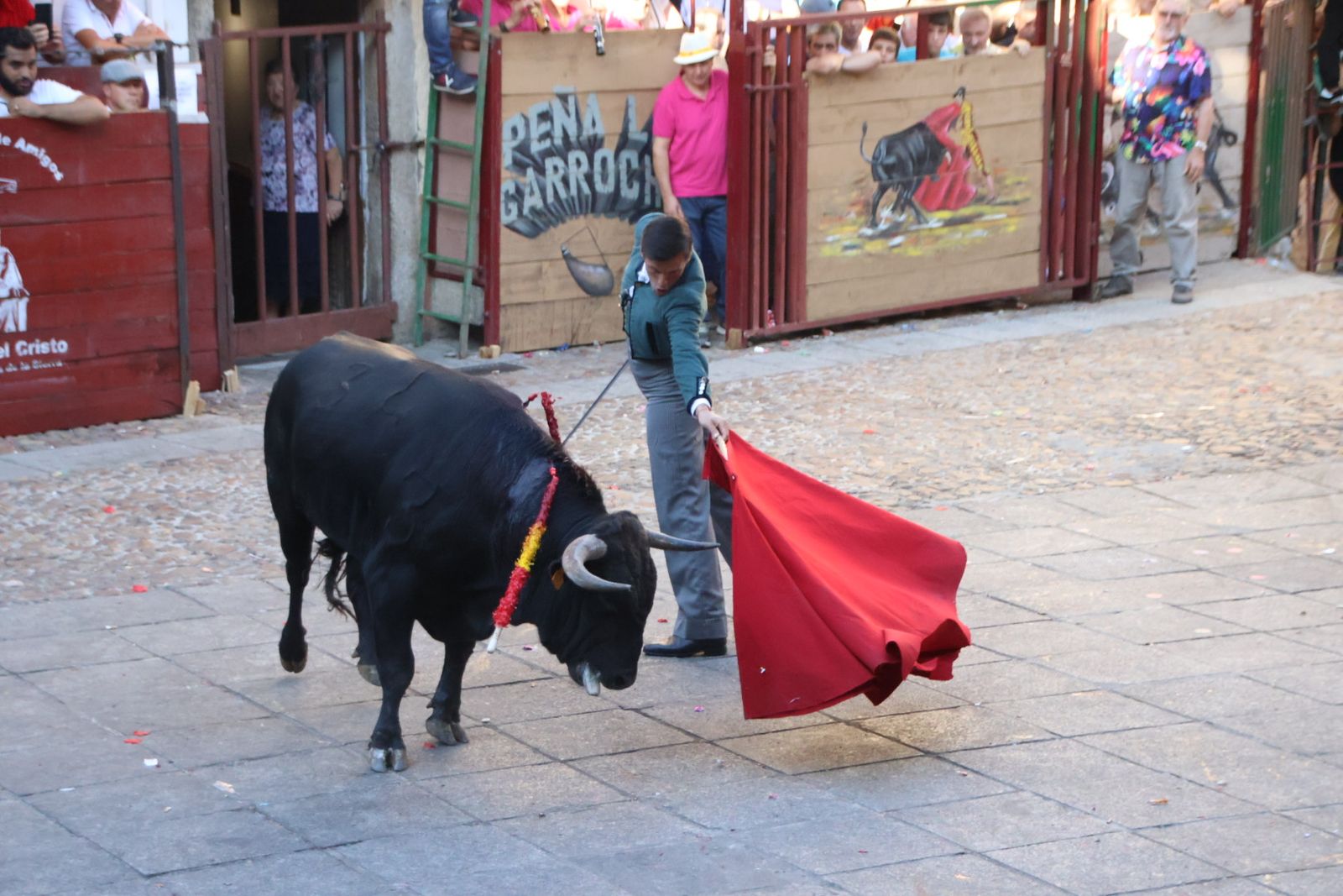 San Esteban de la Sierra, festival taurino sin picadores