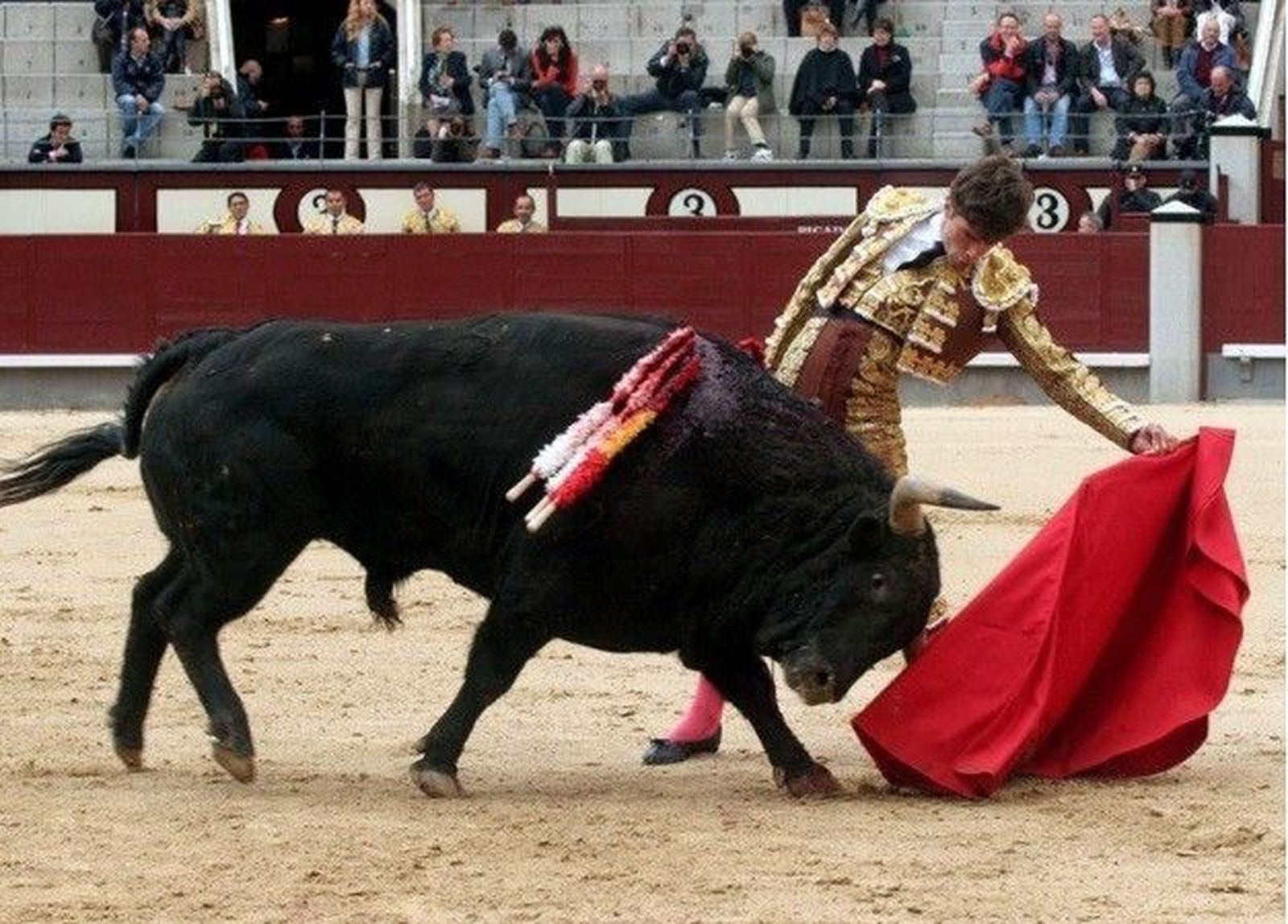 Eduardo Gallo tiene una importante cita esta tarde con Dolores Aguirre