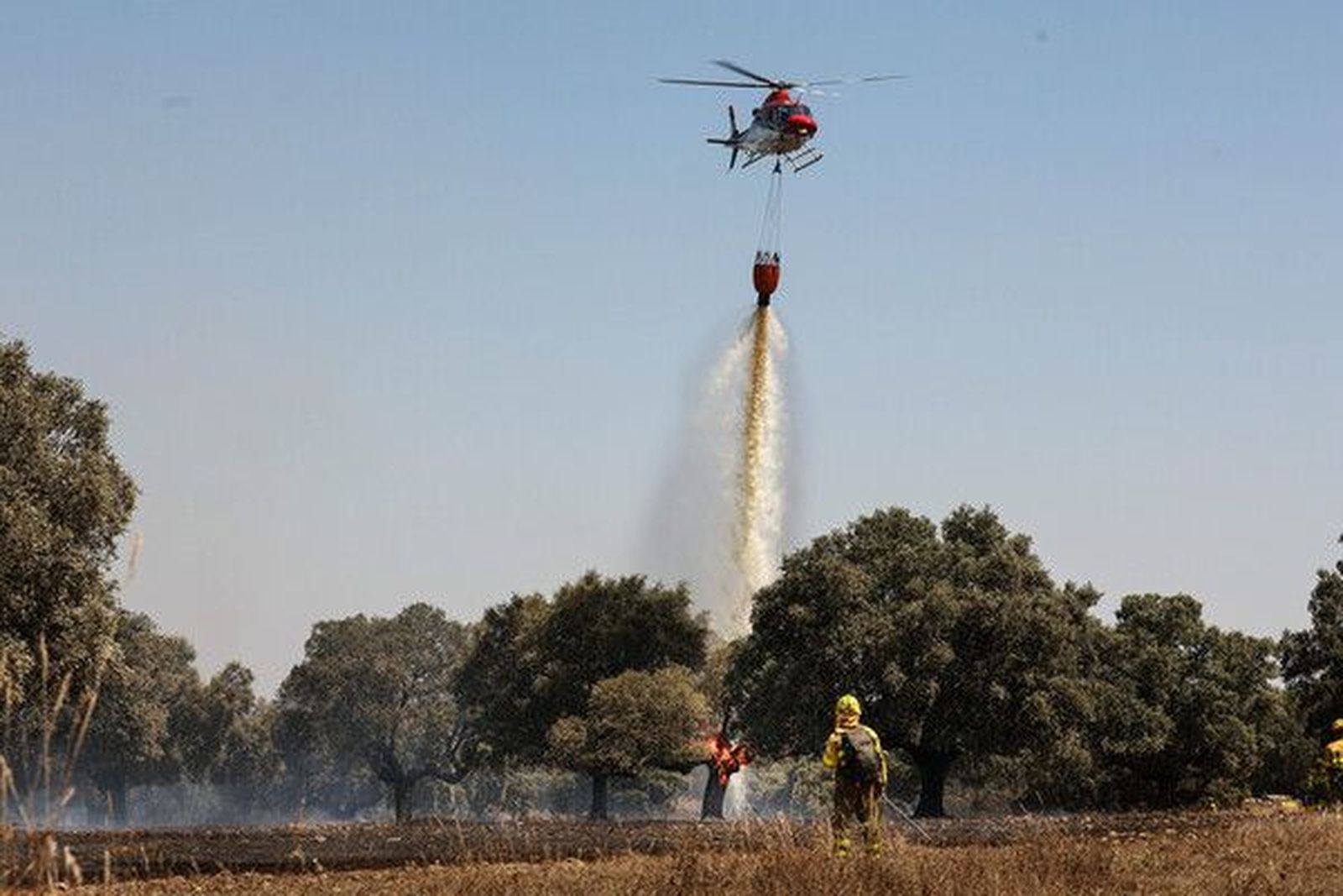 galeria-incendio-forestal-intencionado-en-campillo-de-azaba-fotos-jose-vicente-ical-1