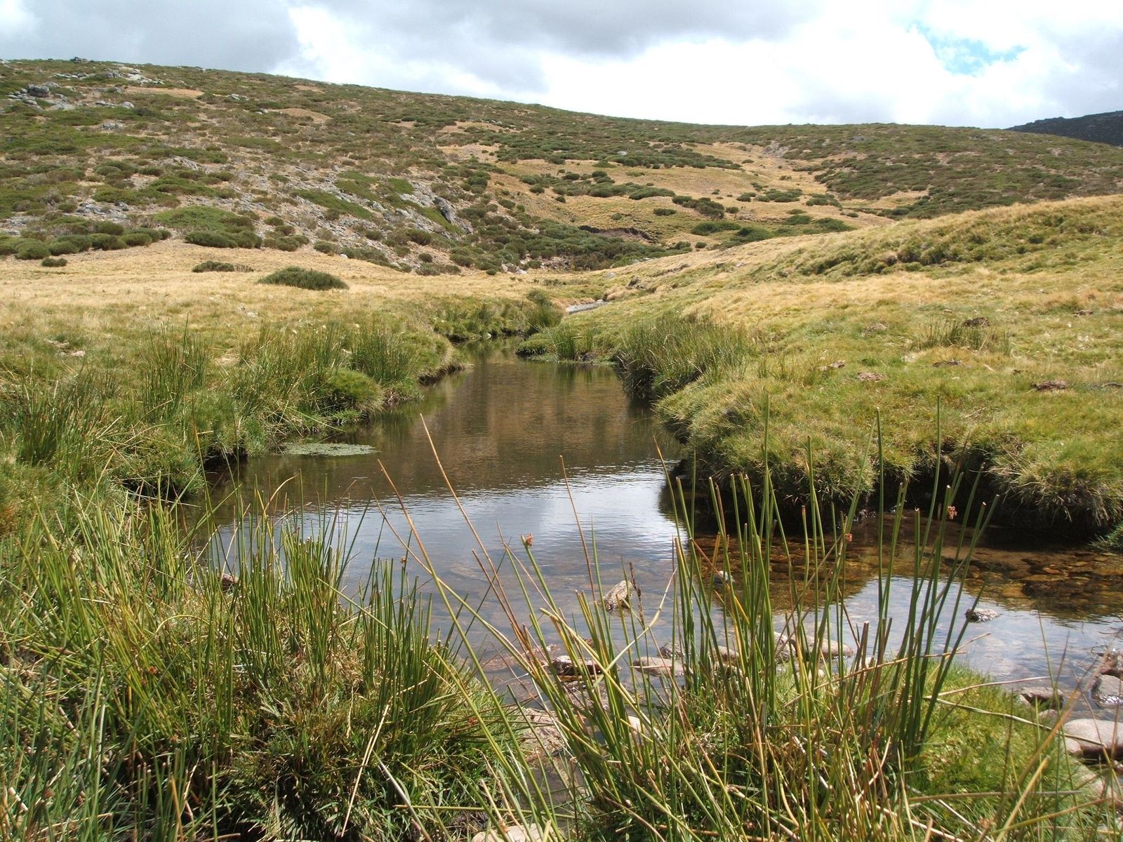Río Corneja