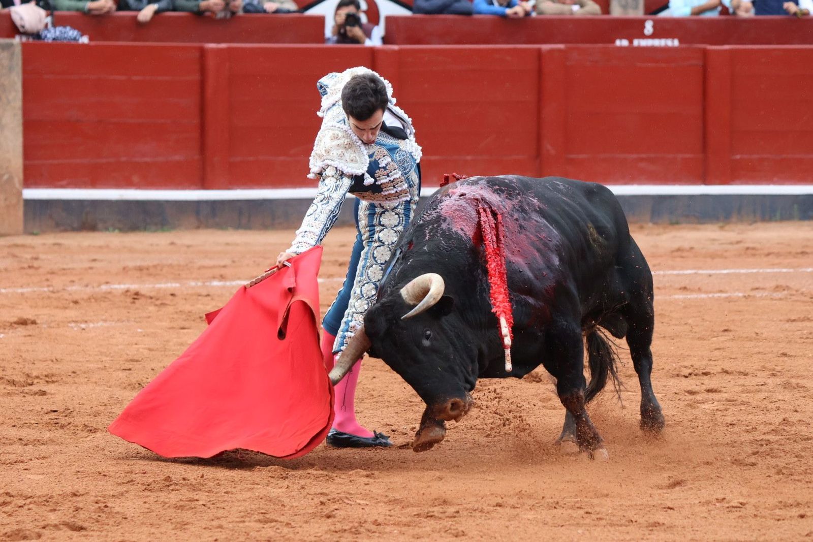 20230916175808-img-5394