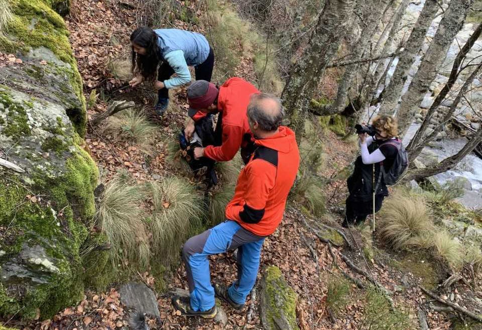 Actividad del grupo Cryosanabria