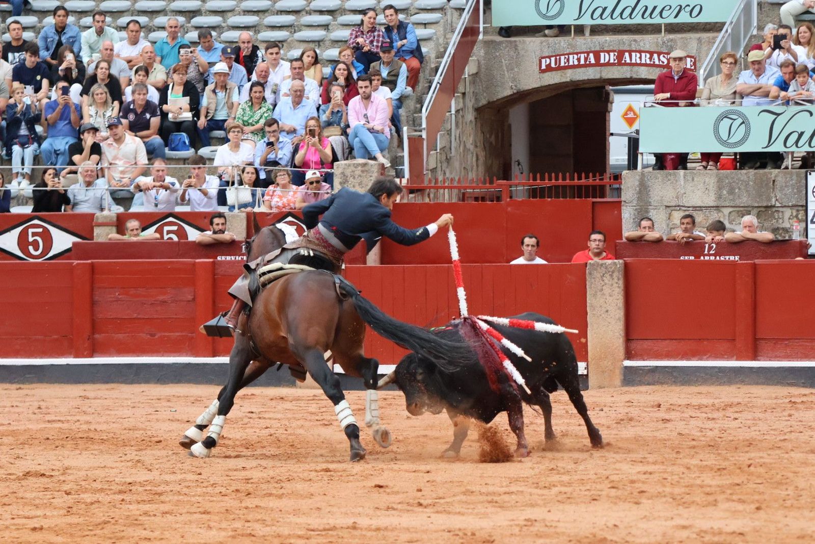 20230909184316-img-0728