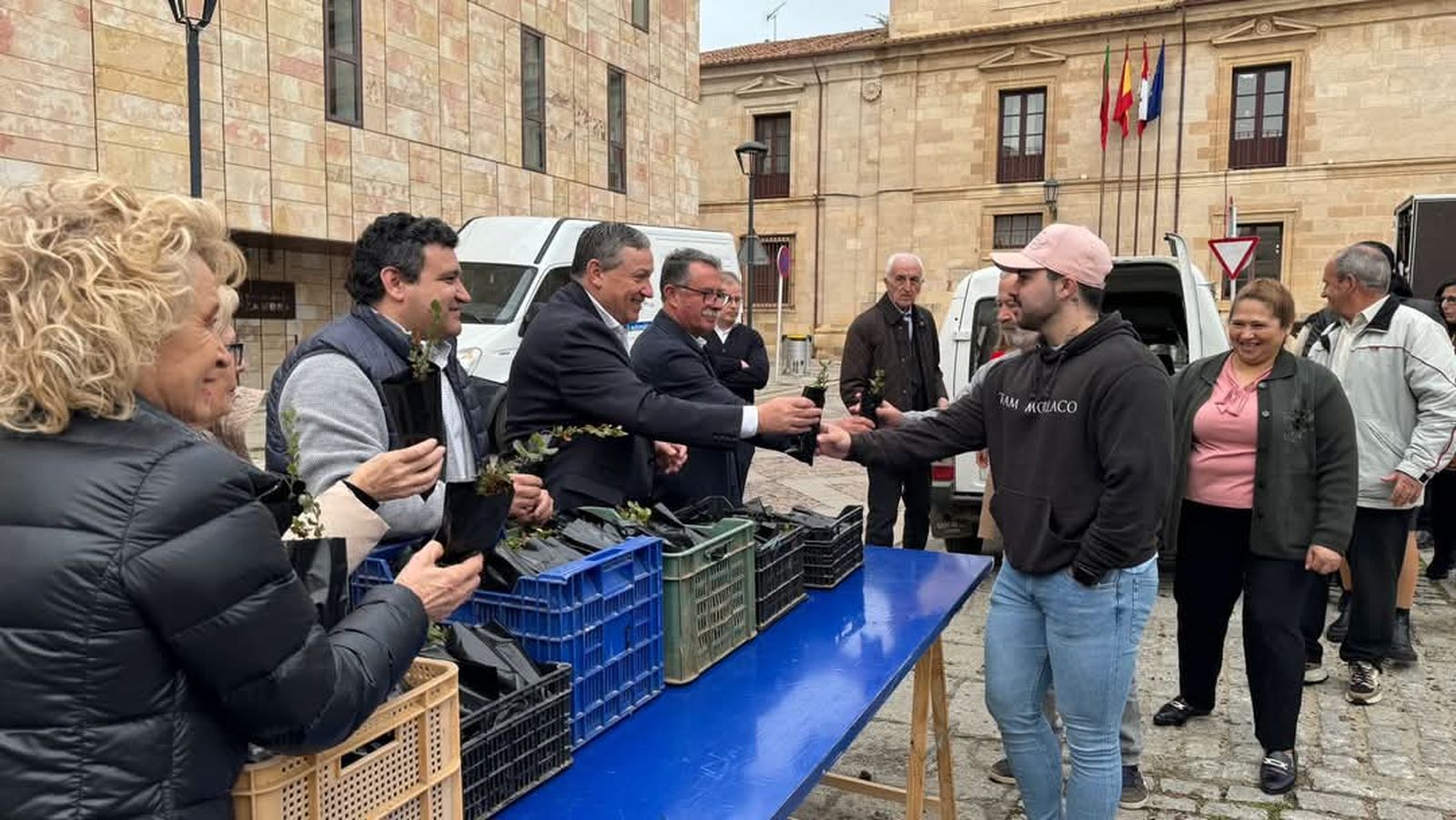 Un total de 2.000 olivos gratuitos en Zamora: te contamos cómo conseguirlo 