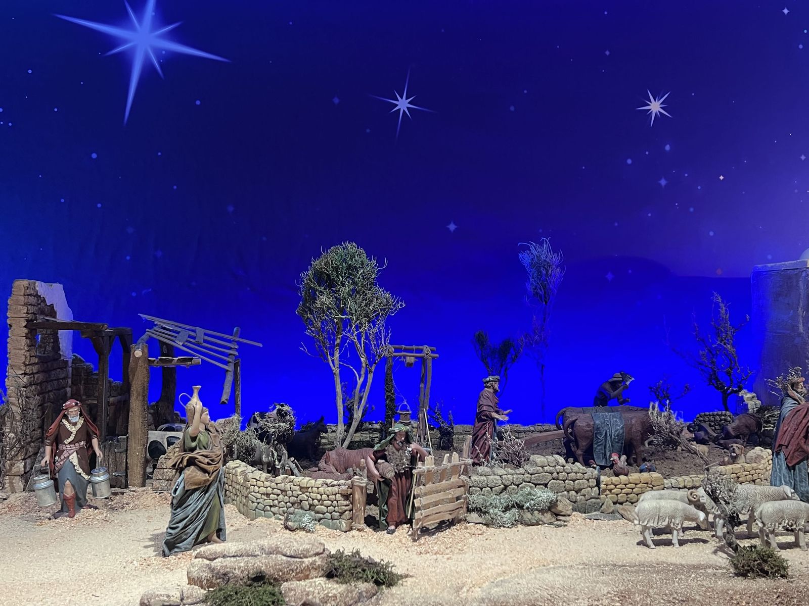 Belén de la Torre de los Anaya