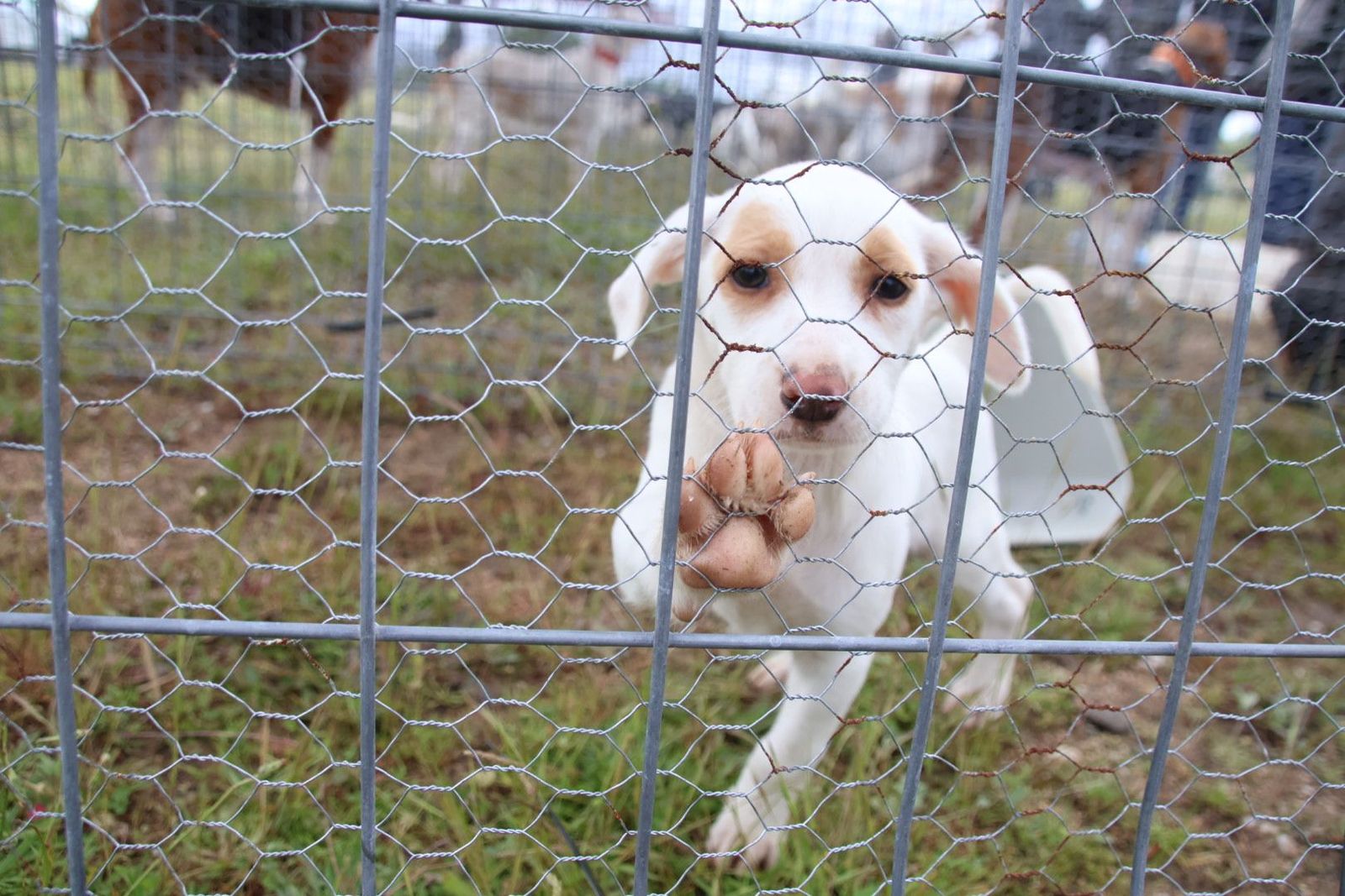 20240501104402-img-2967