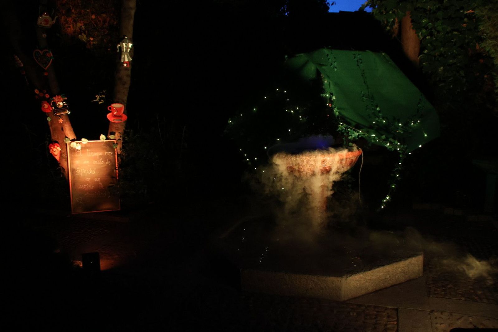 20240613212829-img-7528