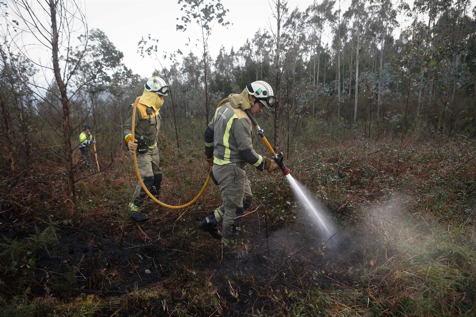 Agentes de los equipos de bomberos trabajan en el lugar del incendio, a 8 de febrero de 2024, en Trabada, Lugo, Galicia (España). Foto de Carlos Castro | Europa Press