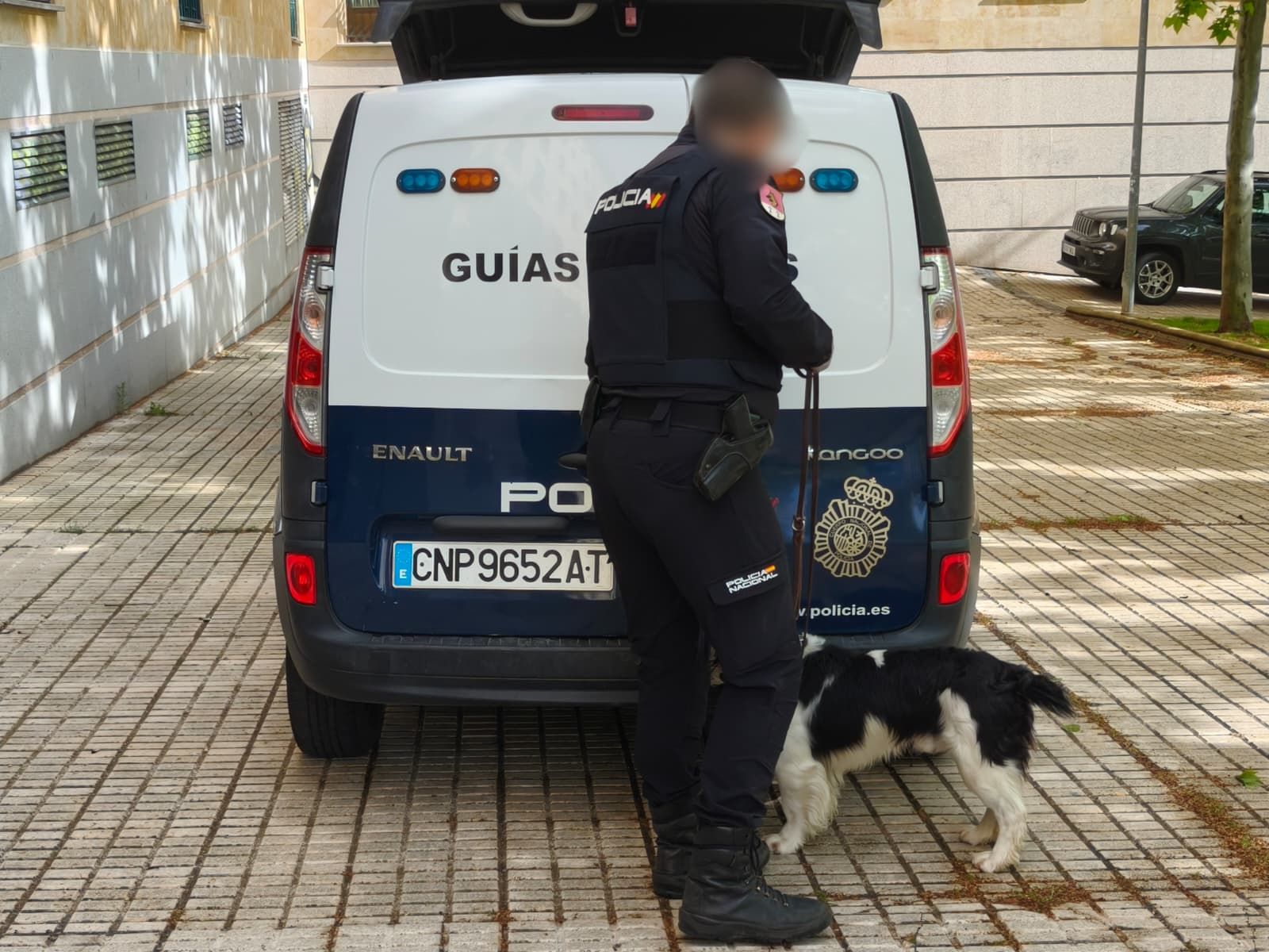 Registros en las calles Riaño y Valles Mineros