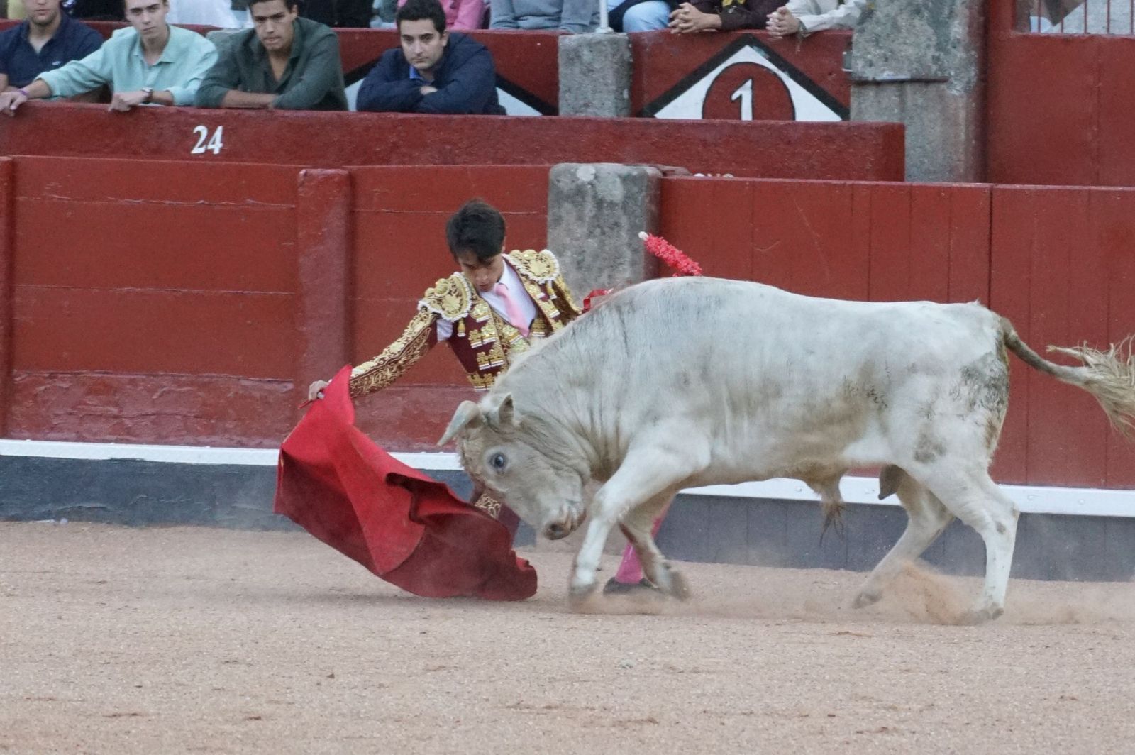 Clase práctica con alumnos de la Escuela de Tauromaquia de Salamanca (Diego Mateos, Noel García y Álvaro Rojo con erales de Esteban Isidro)