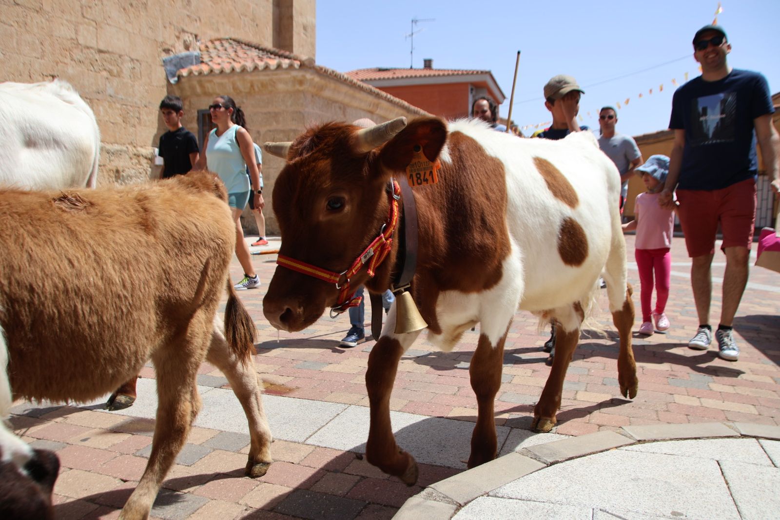 Castellanos de Villiquera, encierro infantil
