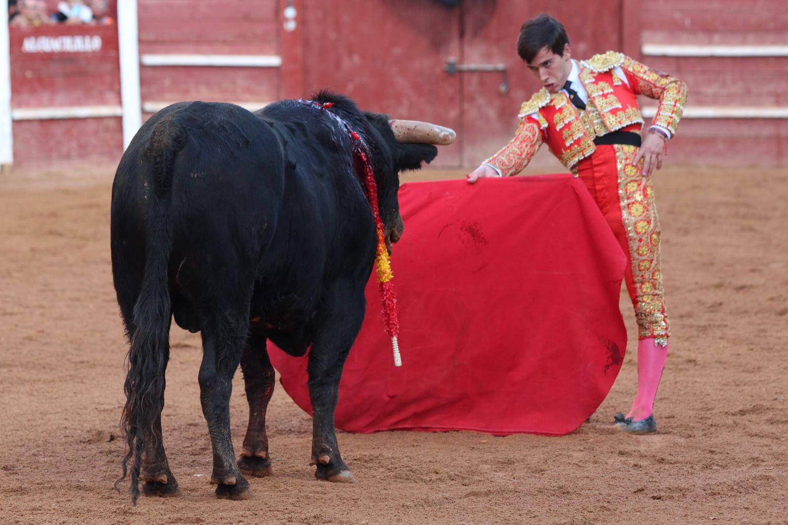 novillada-con-picadores-lunes-de-carnaval-en-ciudad-rodrigo-11