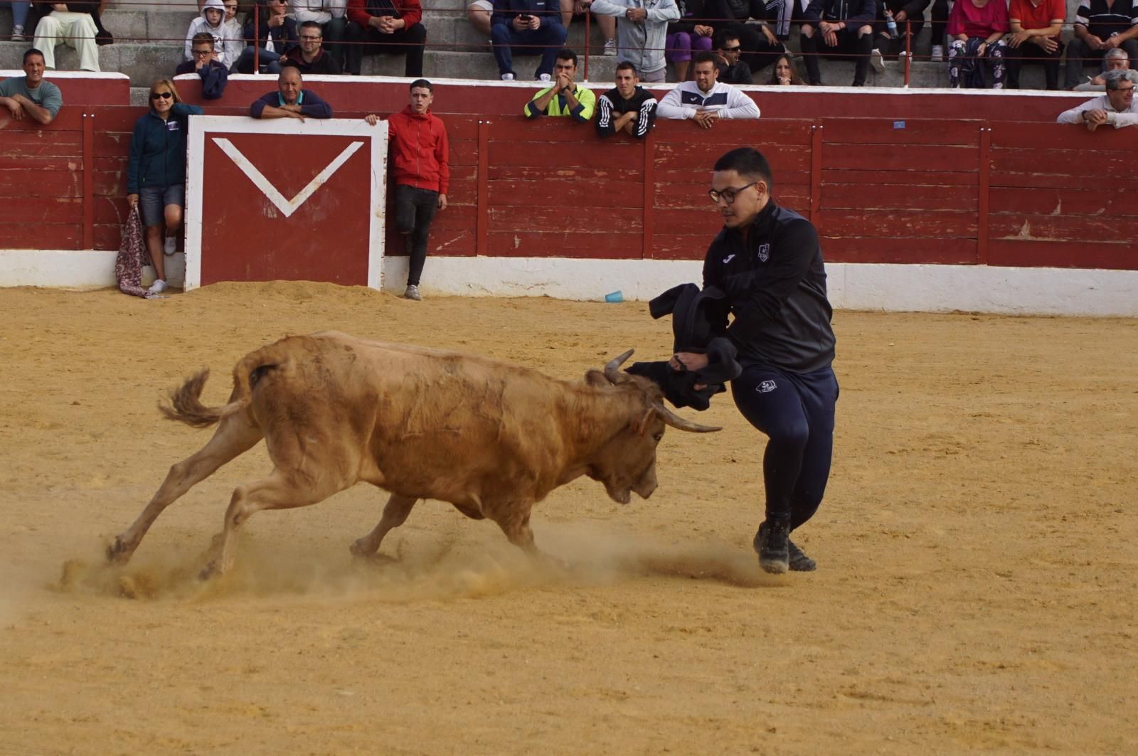 whatsapp-image-2024-09-08-at-14-05-21