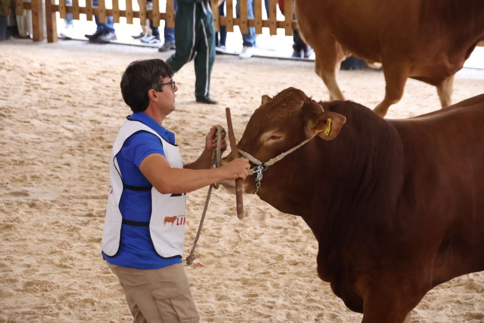 20230902105607-img-6990