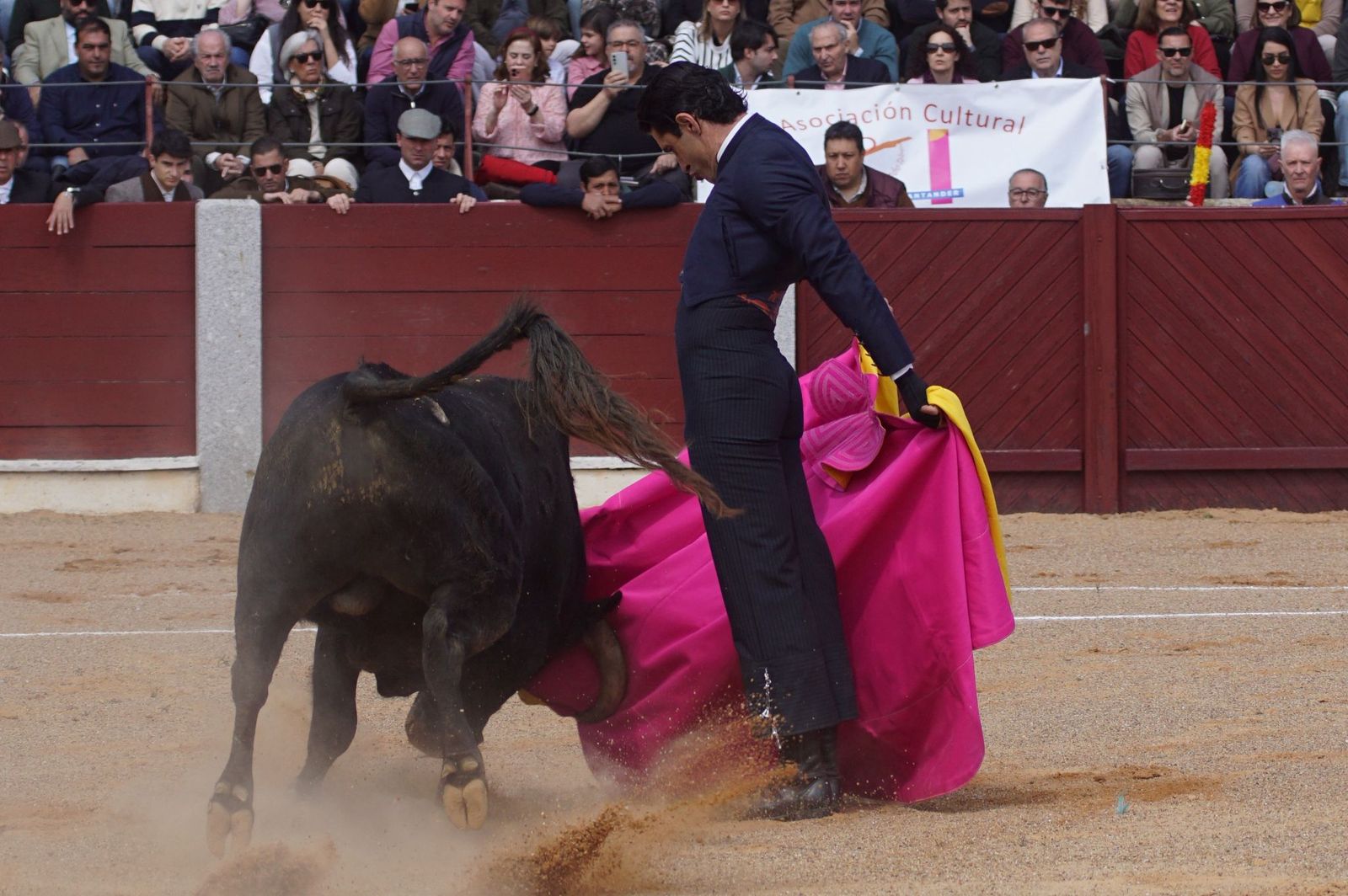 Festival taurino solidario por la esclerosis múltiple en Guijuelo