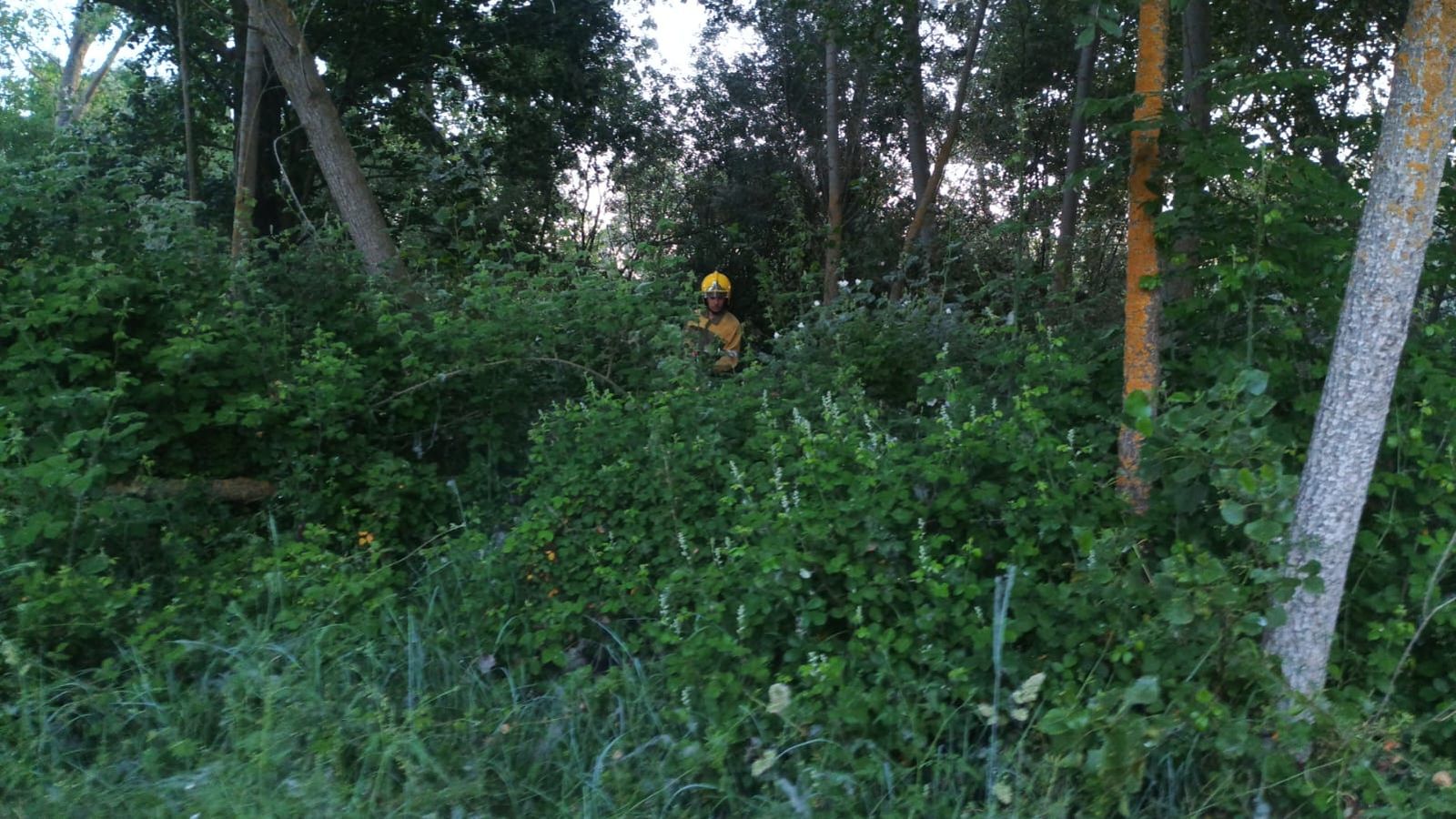 whatsapp-image-2025-06-06-at-21-39-27