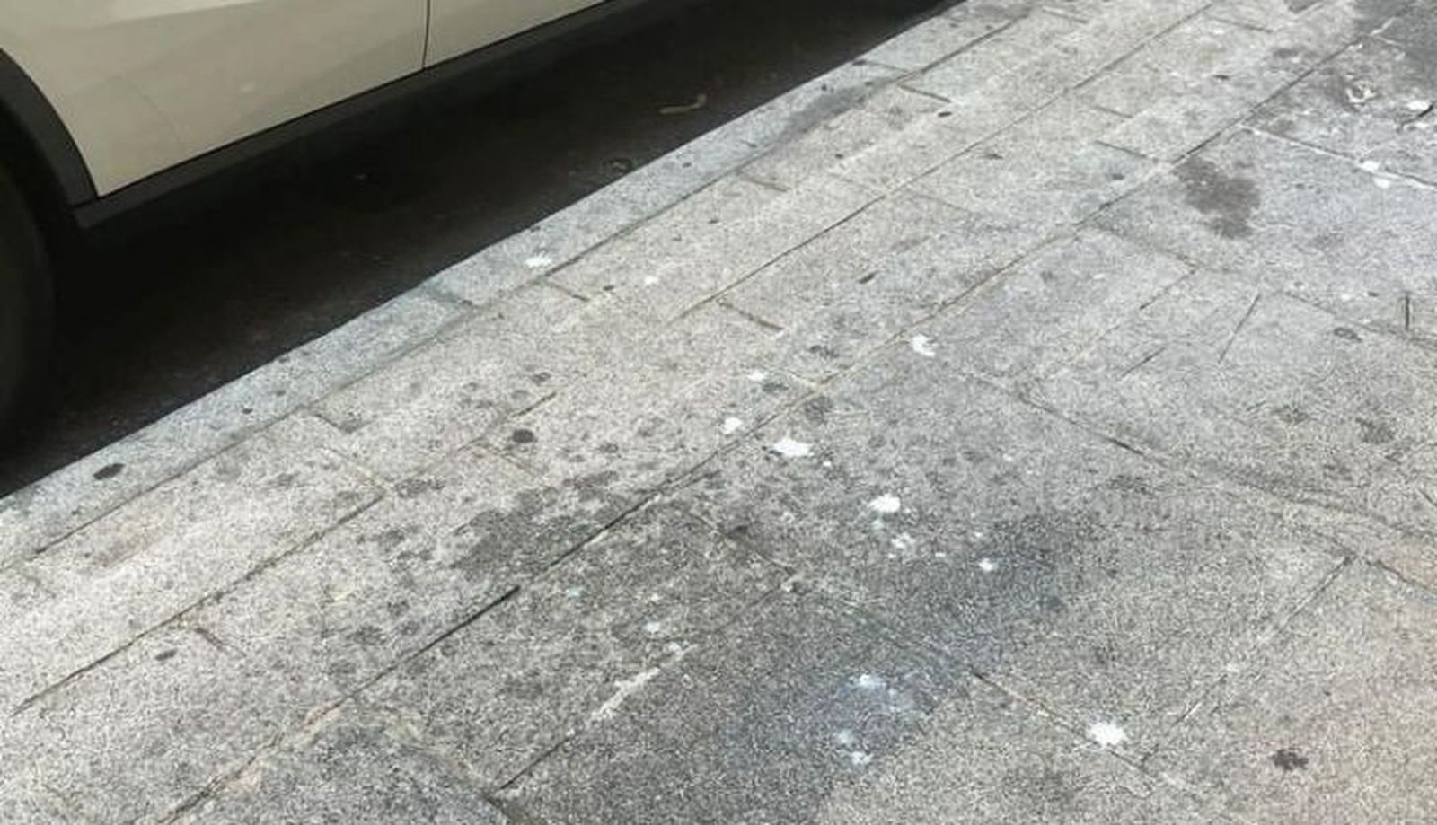 Acera sucia por los escupitajos y los restos arrojados por un vecino de Santos Jiménez a la vía pública Acera sucia por los escupitajos y los restos arrojados por un vecino de Santos Jiménez a la vía pública