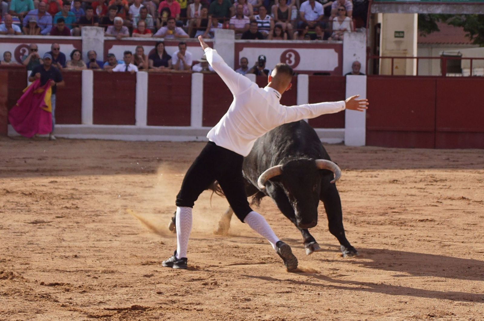 whatsapp-image-2023-07-02-at-22-40-29-1