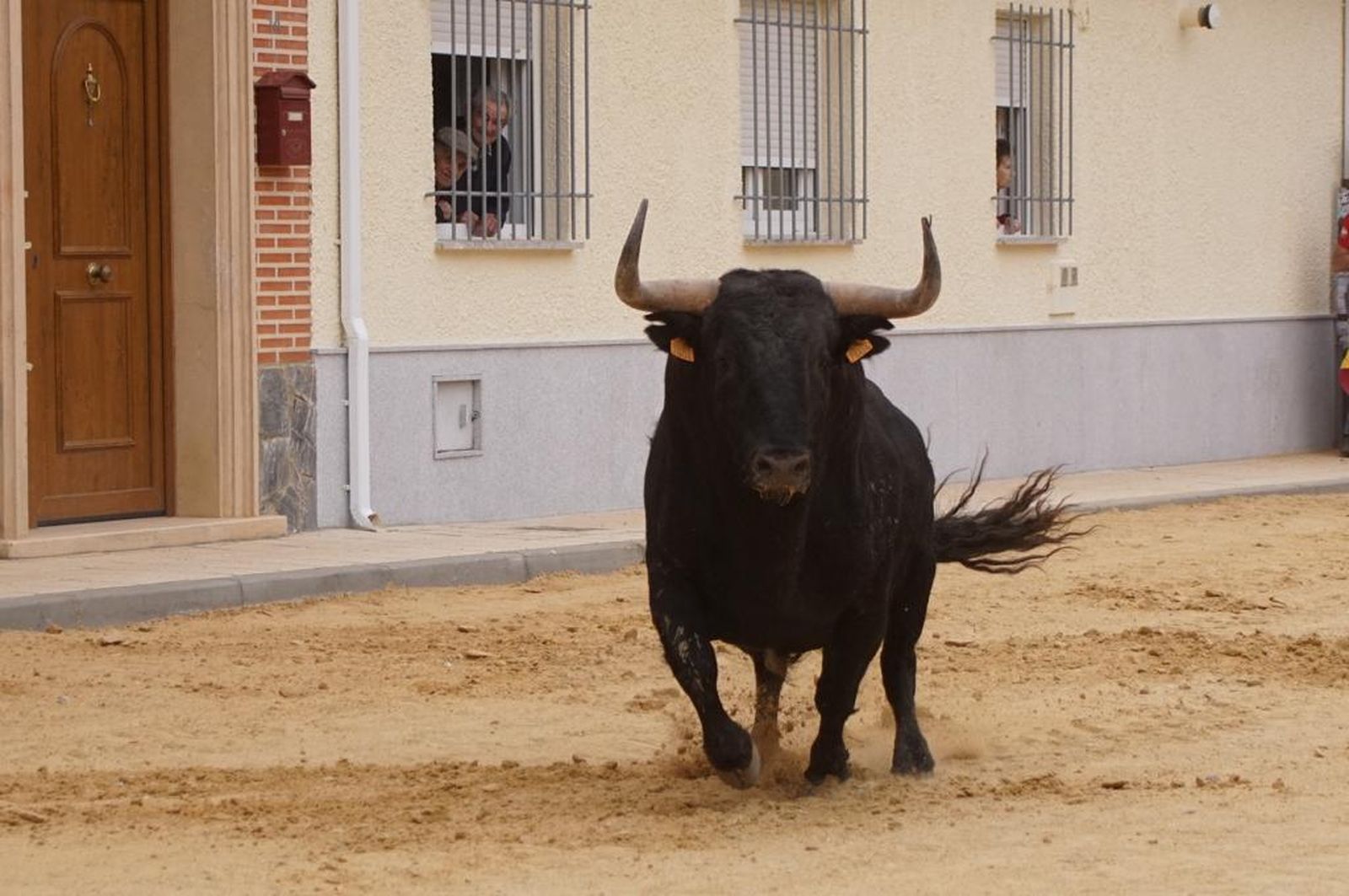 ambiente-y-participacion-durante-el-toro-del-voto-en-villoria-suelta-de-dos-toros-del-cajon-foto-juanes-3