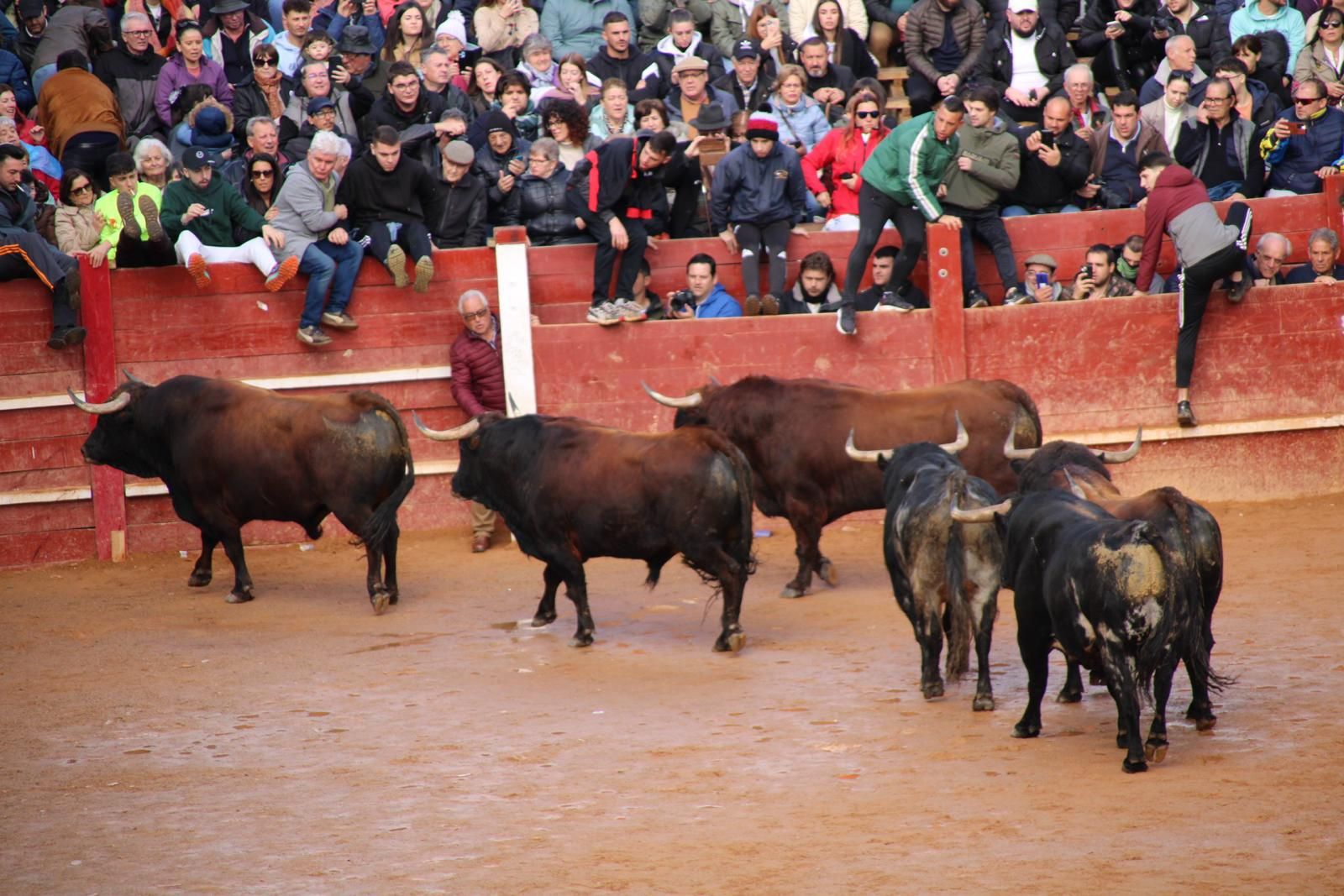 encierro-del-martes-de-carnaval-en-ciudad-rodrigo-27