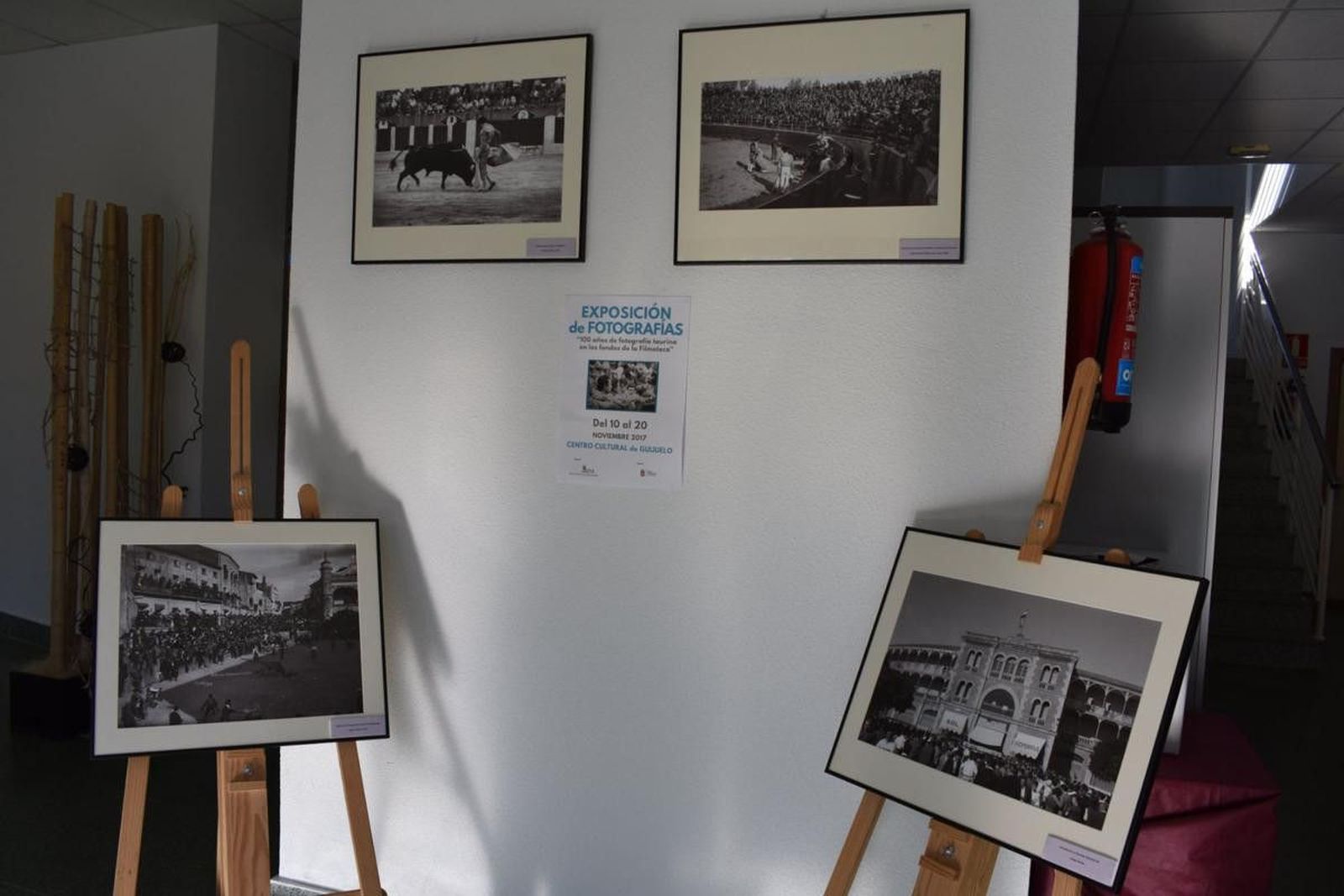 23415397 1881837238499352 9148778577769877291 o 1200x800