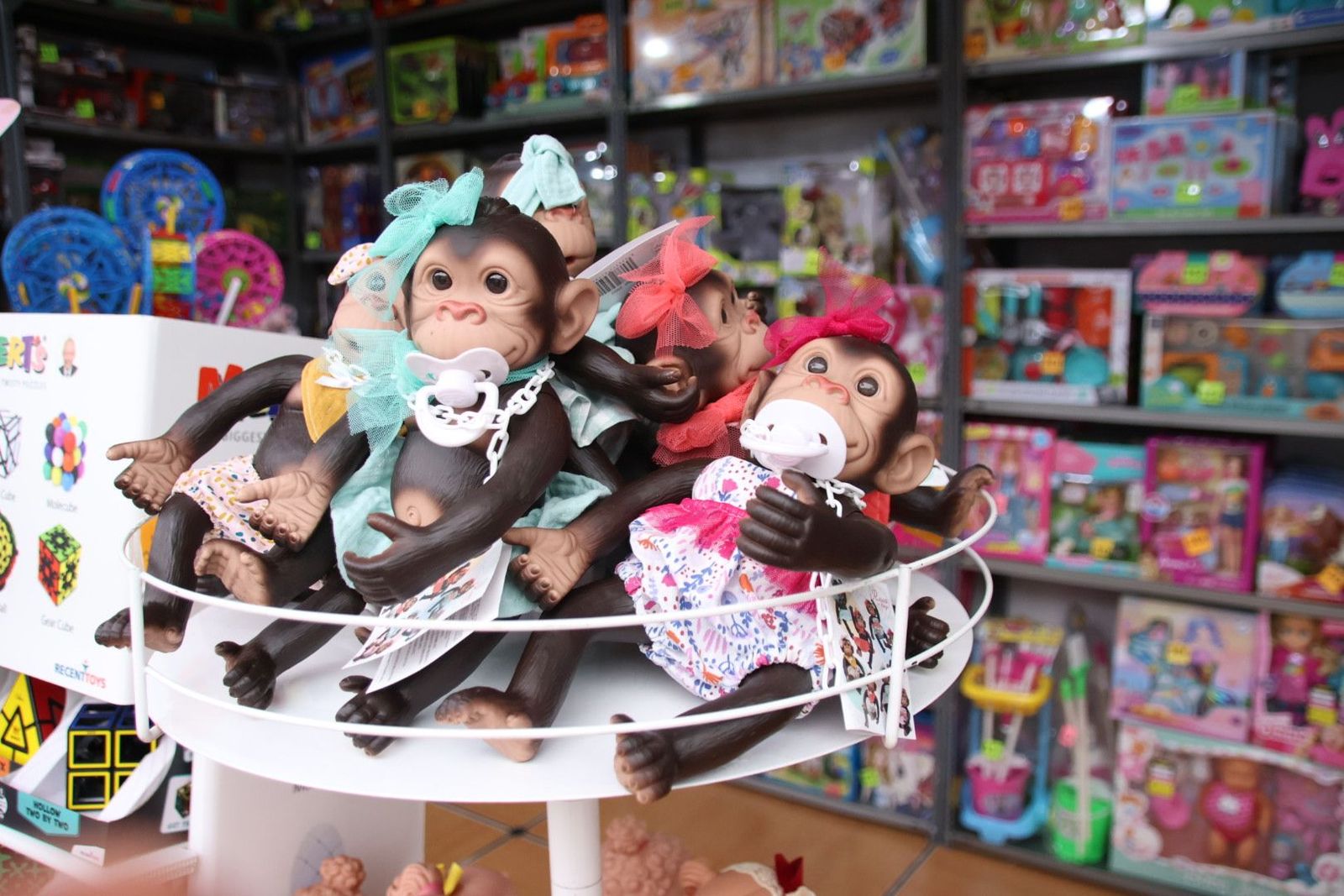 20230903112009-img-7741