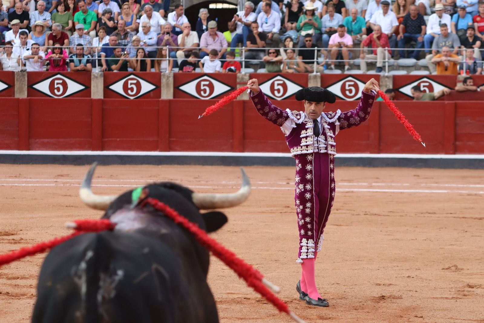 20230910185630-img-2187