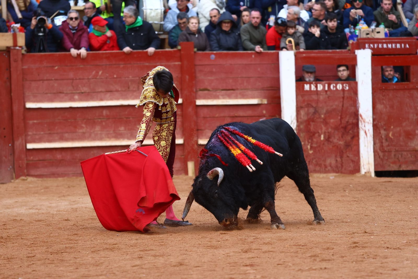 Novillada con picadores de lunes en el Carnaval del Toro de Ciudad Rodrigo 2026