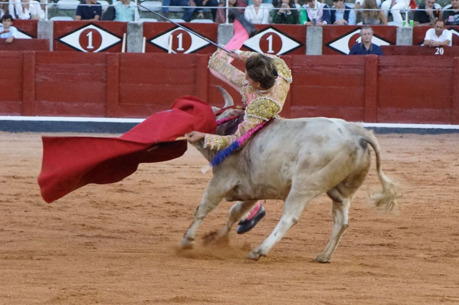 whatsapp-image-2022-09-08-at-9-22-00-pm