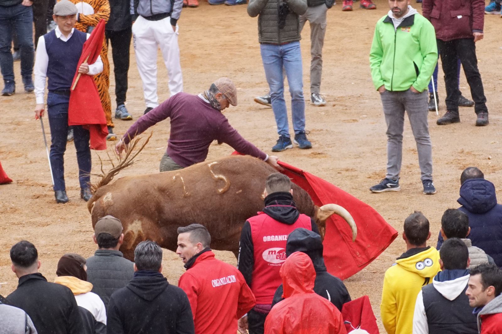 whatsapp-image-2024-02-11-at-14-02-45-2