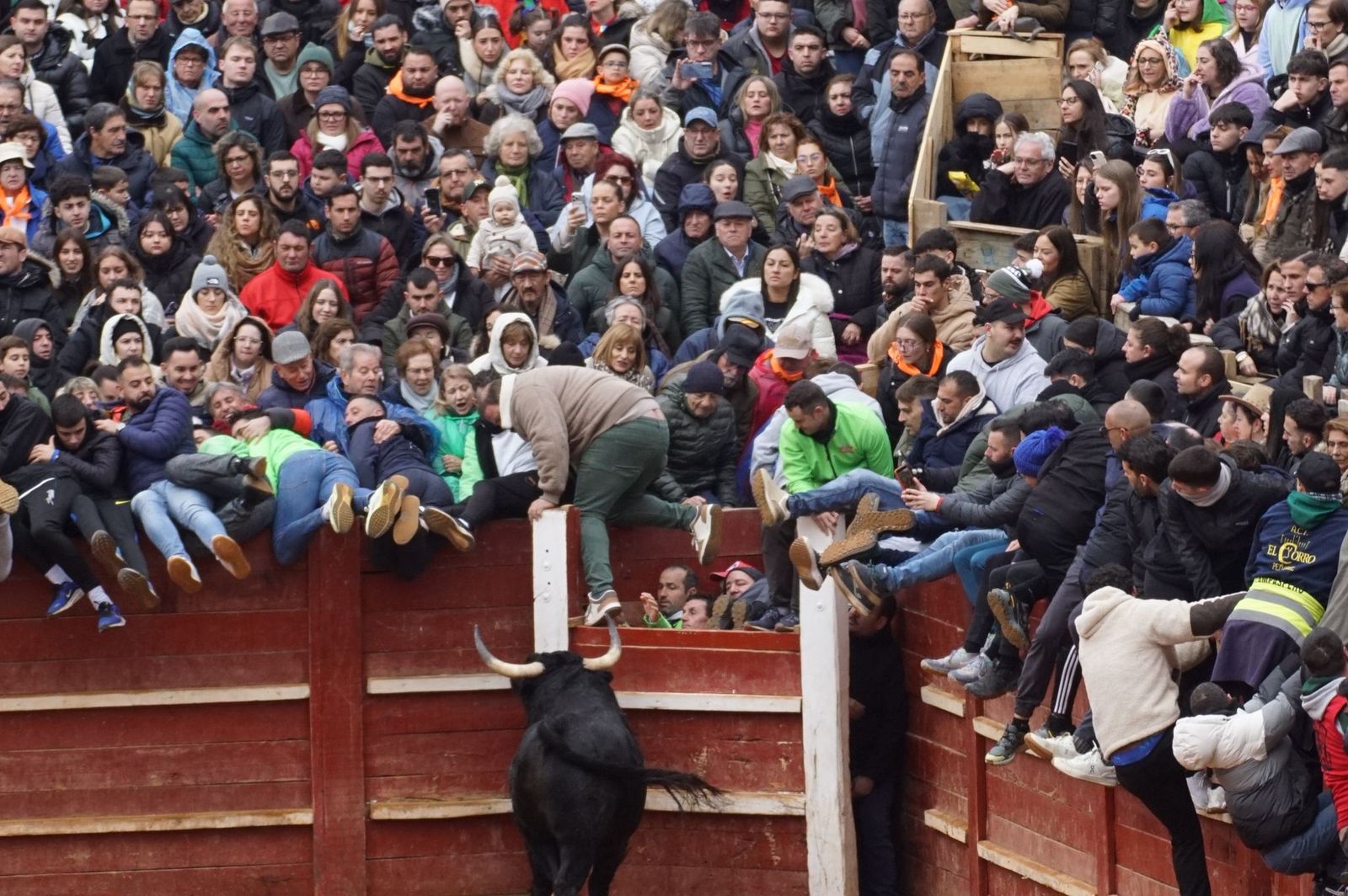 Capea matinal de domingo de carnaval en Ciudad Rodrigo (31).jpeg