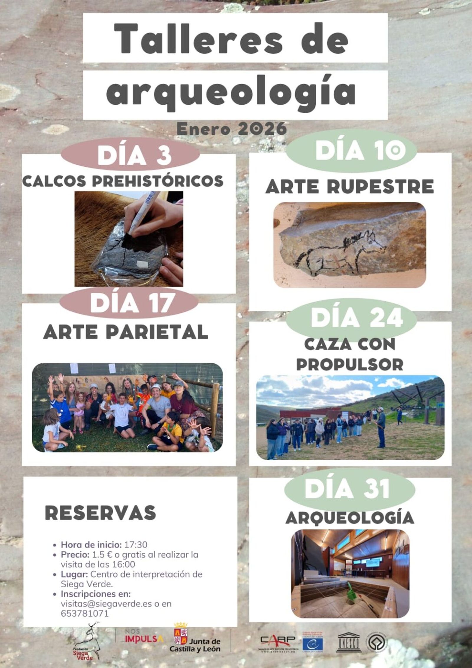 Talleres de arqueología en enero en Siega Verde