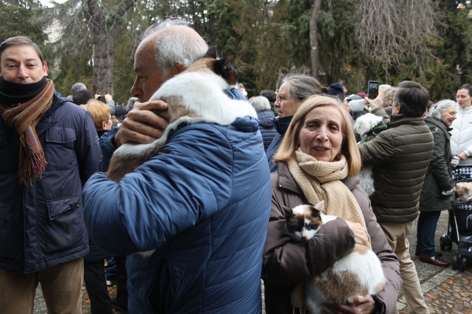 Bendición de los animales por San Antón en el Campo de San Francisco