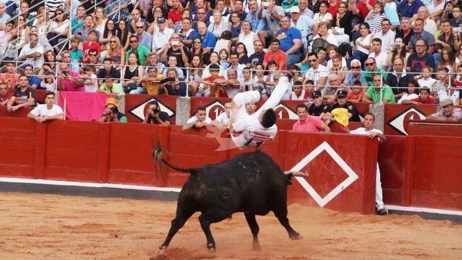 Eusebio Sacristán 'Use' impacta y gana el concurso de recortes