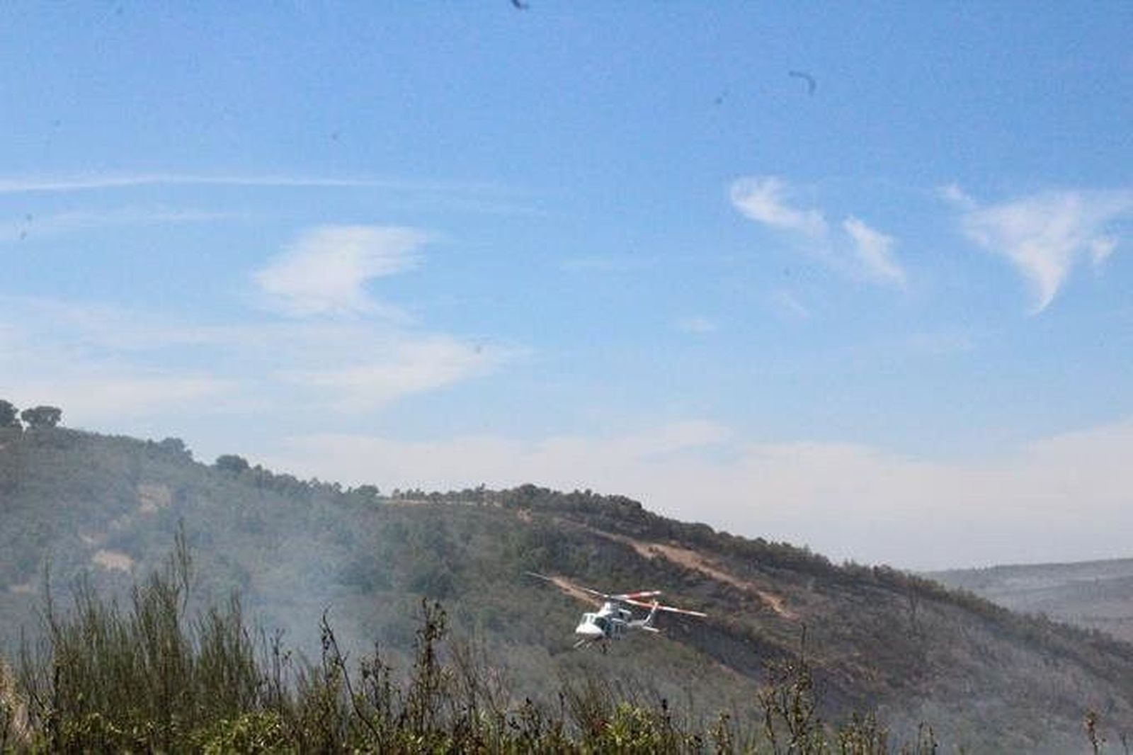 La zona afectada por el incendio muestra la peor cara del fuego en Pino del Oro