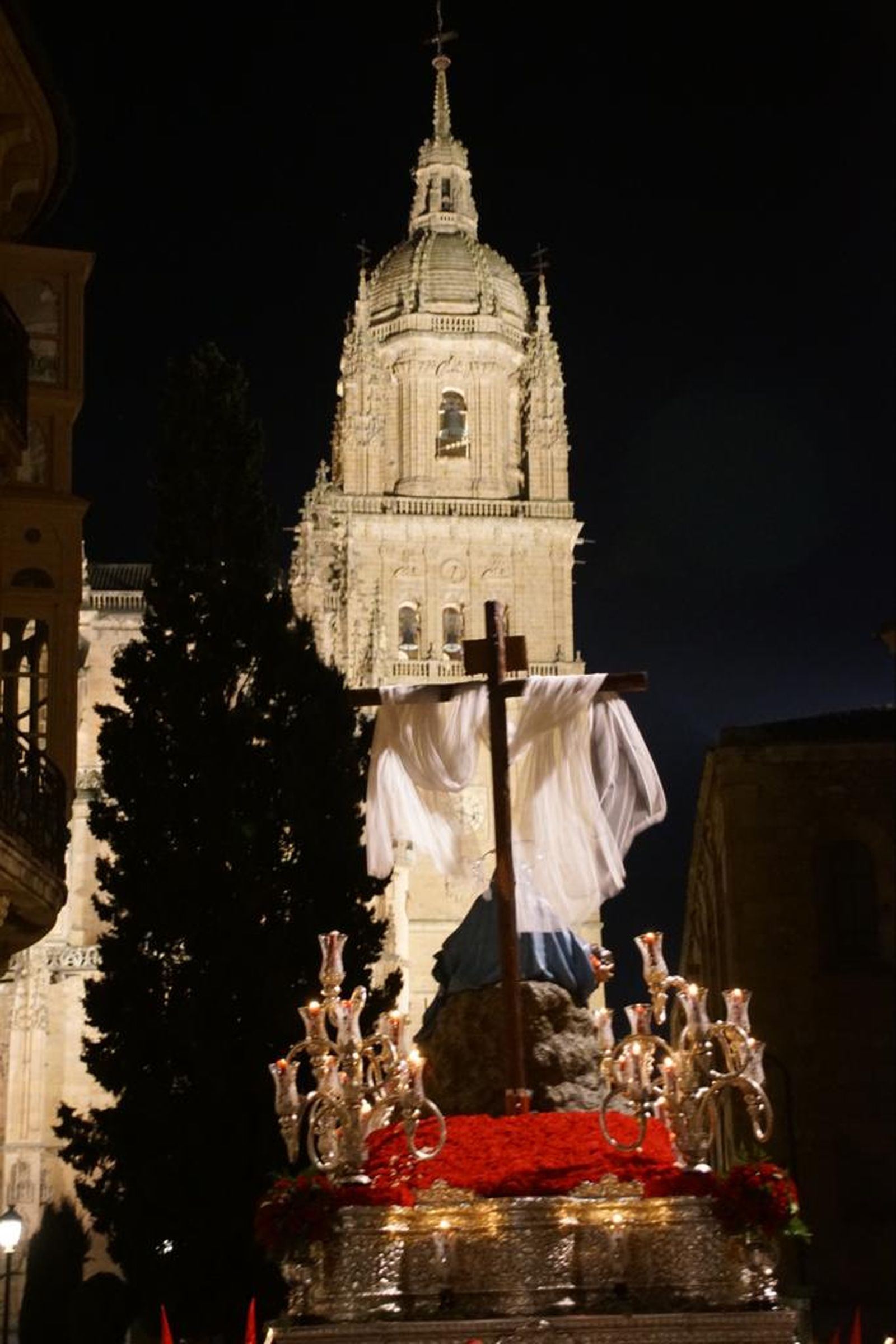 procesion-hermandad-dominicana-35