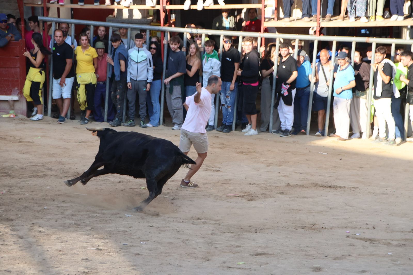 Encierro en Aldeadávila