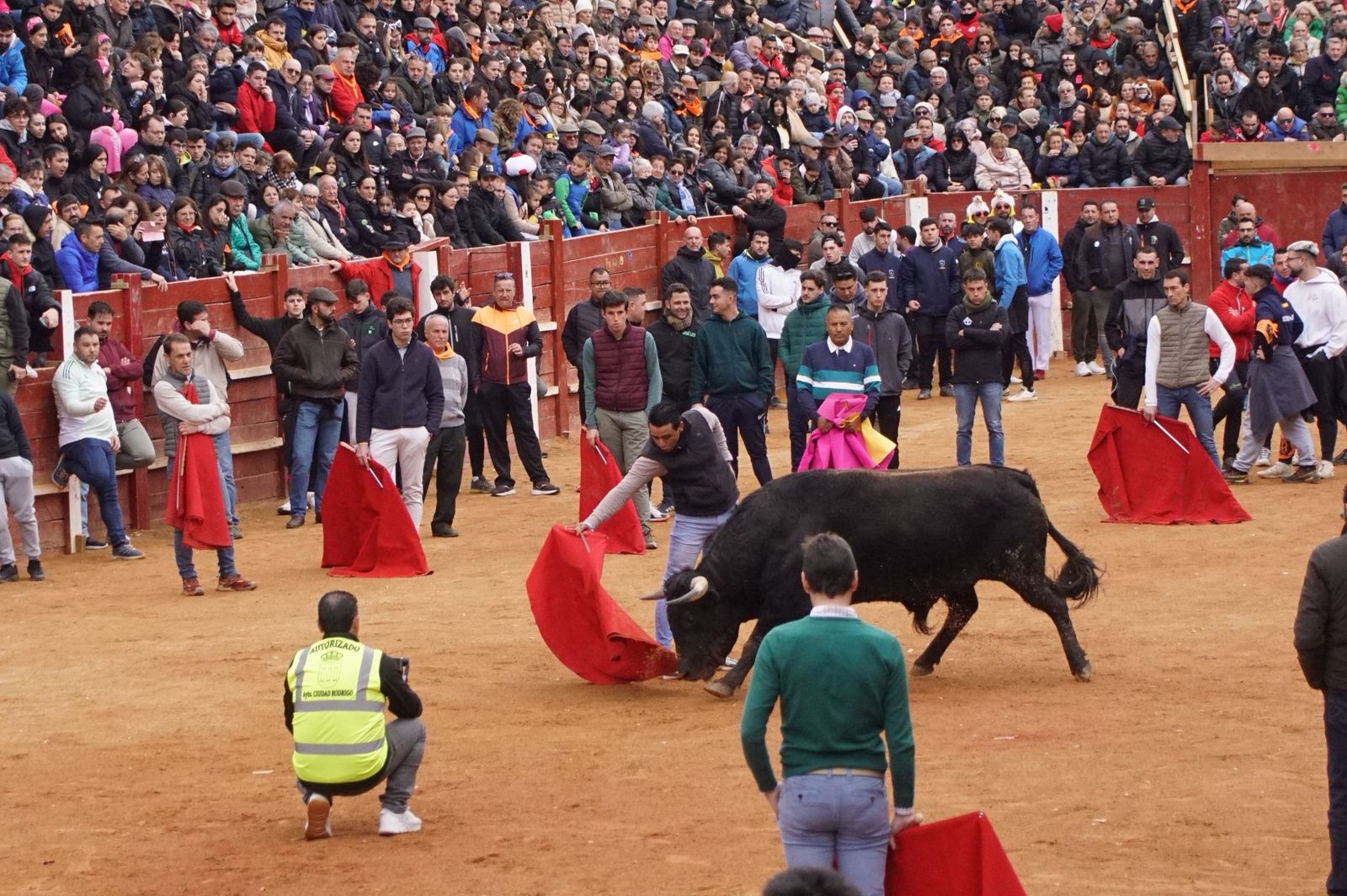 Destacados saltos, quiebros y toreo de capa en la capea del Lunes de Carnaval en Ciudad Rodrigo