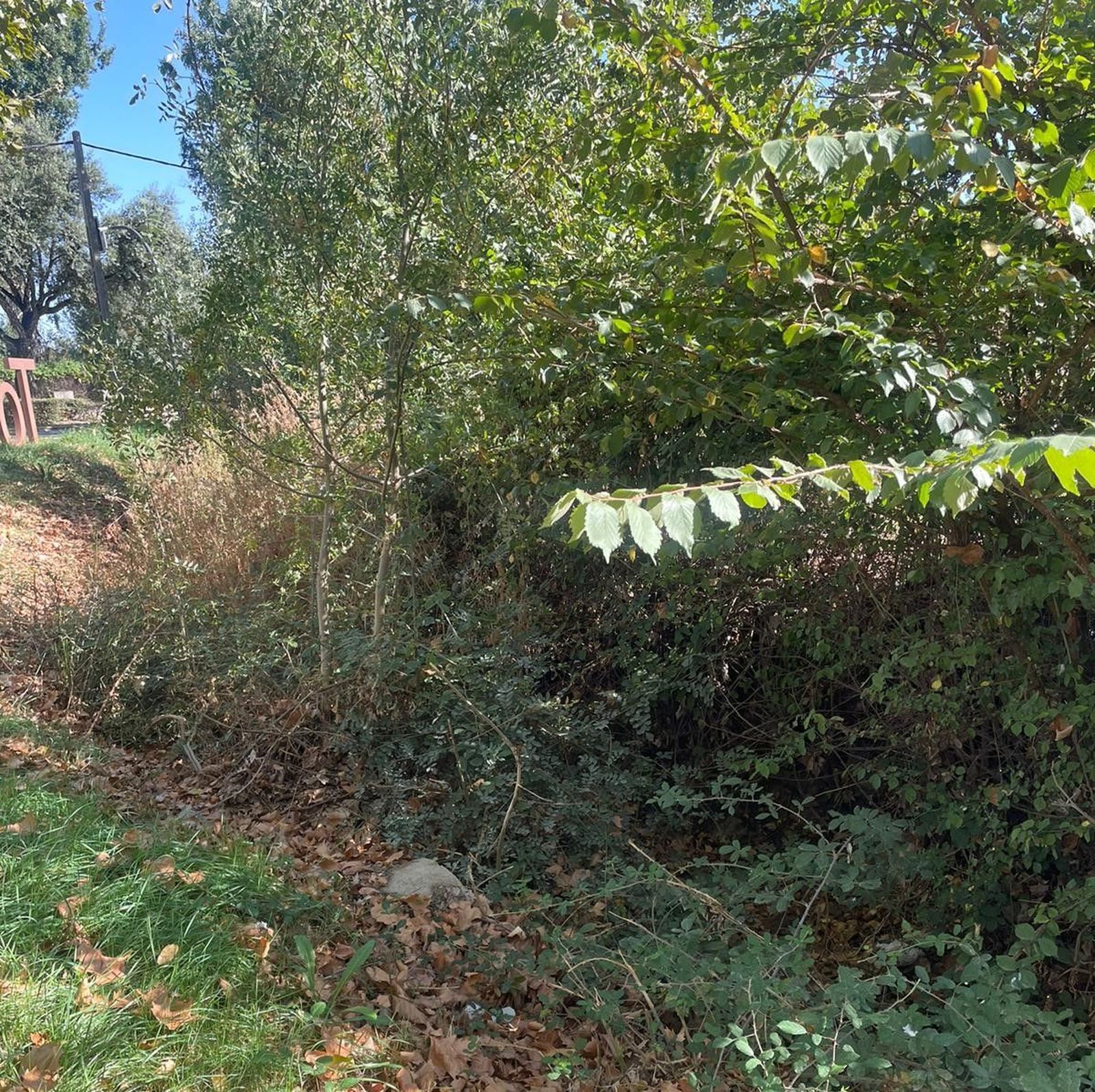 denuncian-el-estado-del-regato-situado-en-el-parque-lazarillo-de-tormes-de-tejares-9