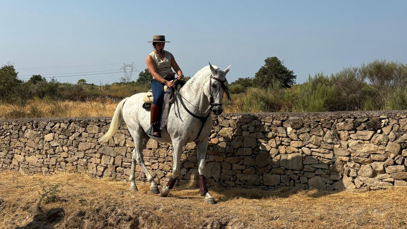 Encierro de bueyes, mini bueyes y parque de hinchables en Aldeadávila de la Ribera por San Bartolo 2025