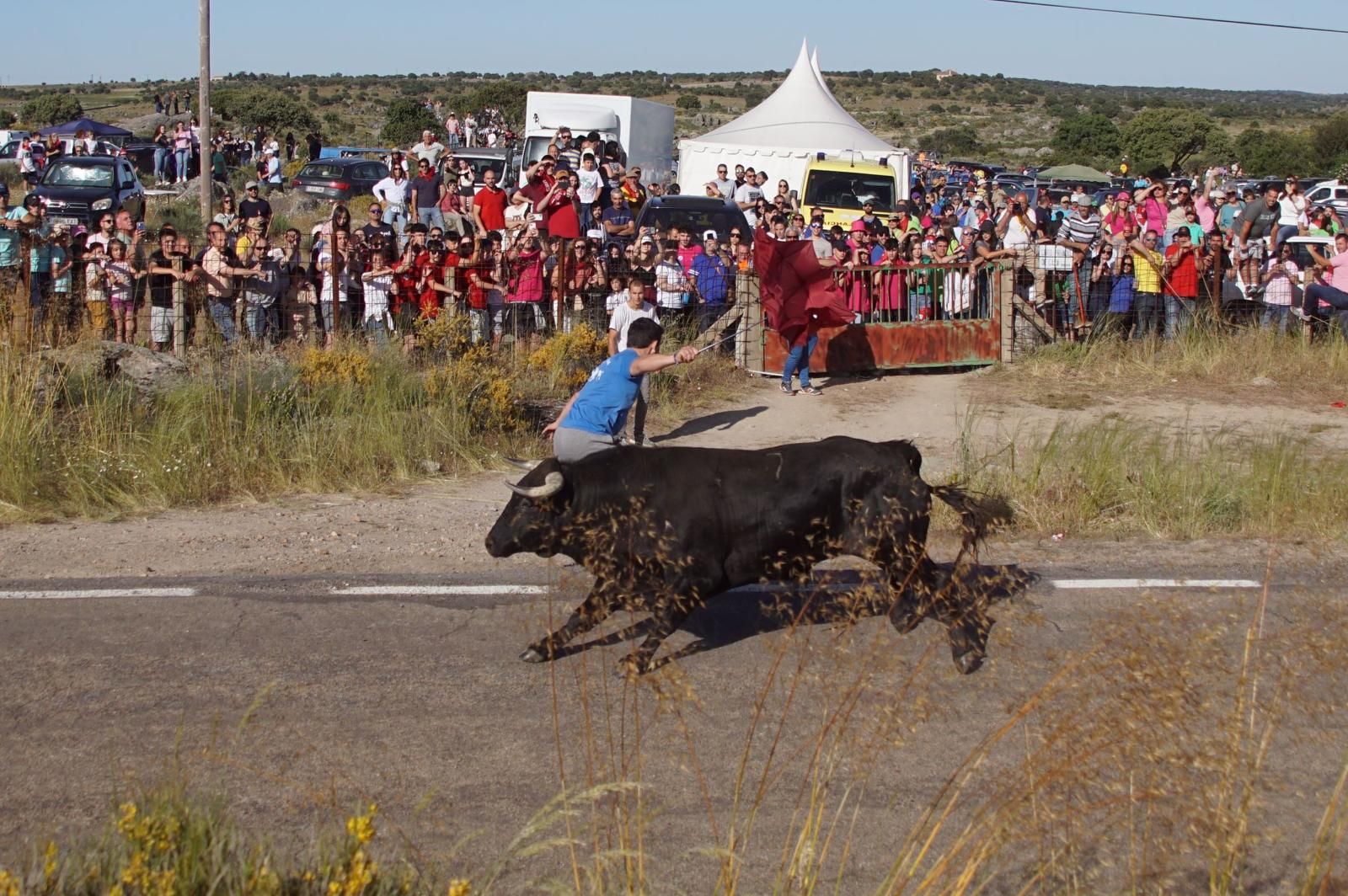 ledesma-calienta-motores-para-los-espantos-con-el-reparto-de-panuelos-y-la-salida-de-los-toros-del-prao-de-la-villa-10