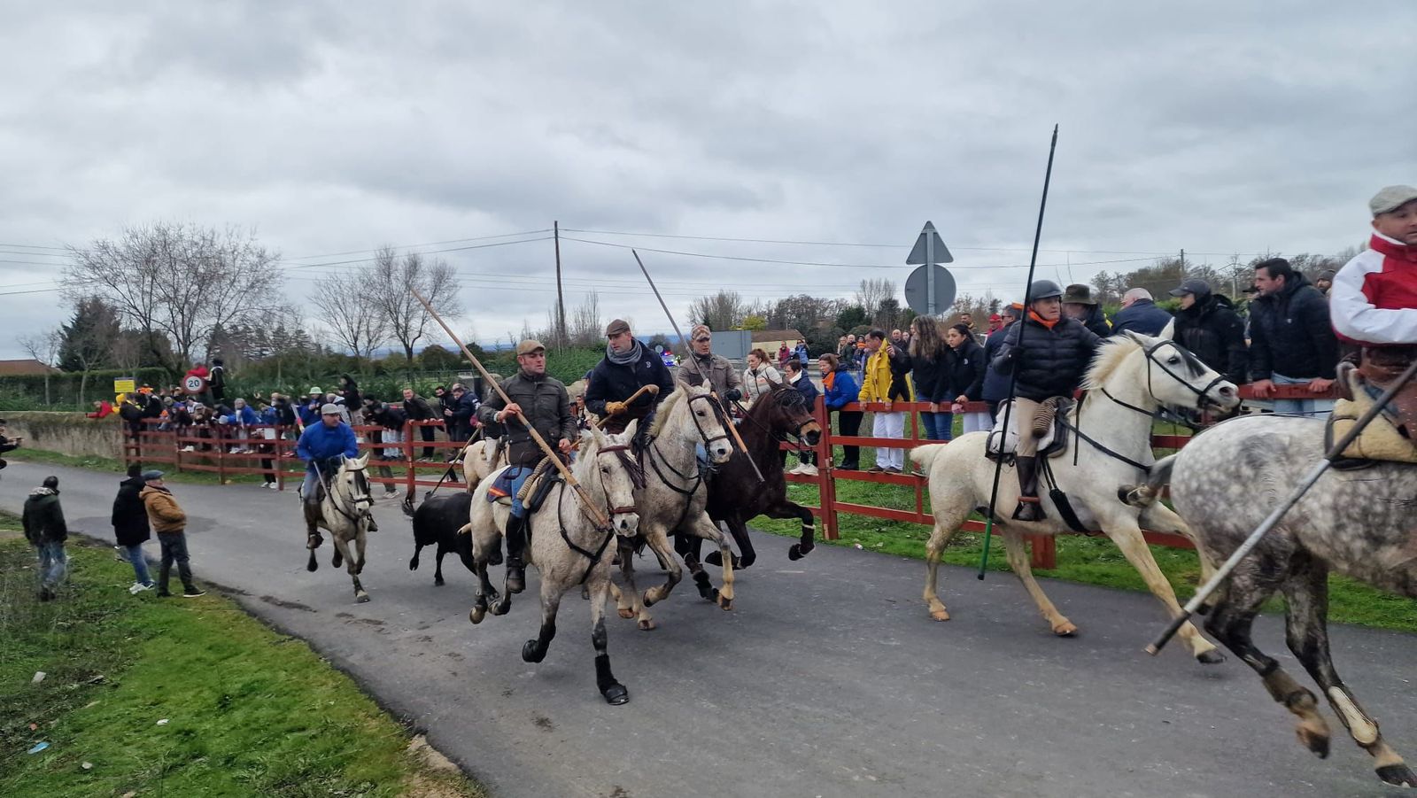 Encierro a Caballo en el Carnaval del Toro 2026 de Ciudad Rodrigo