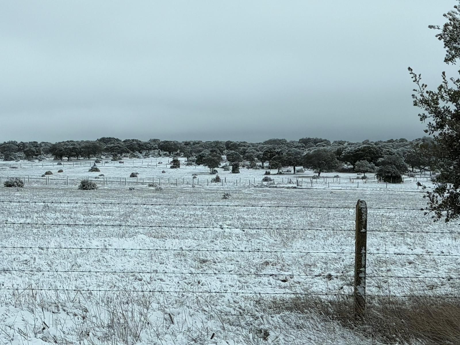 Nieve en Cuatro Calzadas, Pereña y Guijuelo este sábado